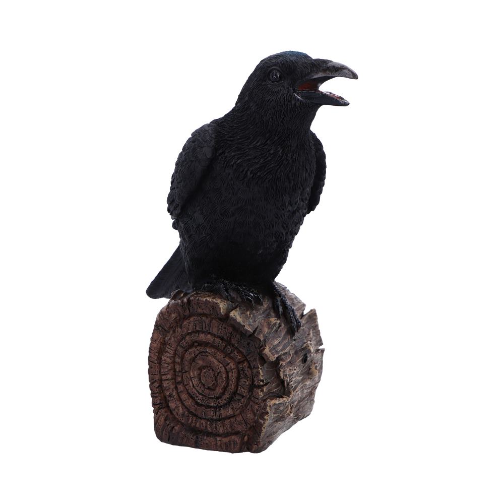 Ravens Cry 18cm Ravens Cry 18cm