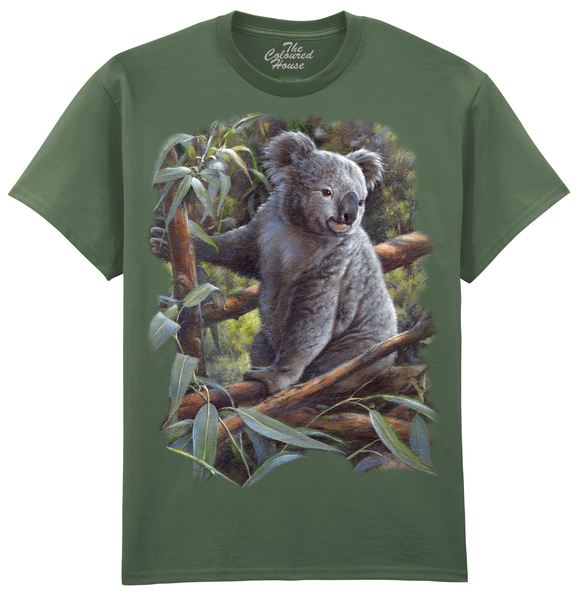 Koala Bear