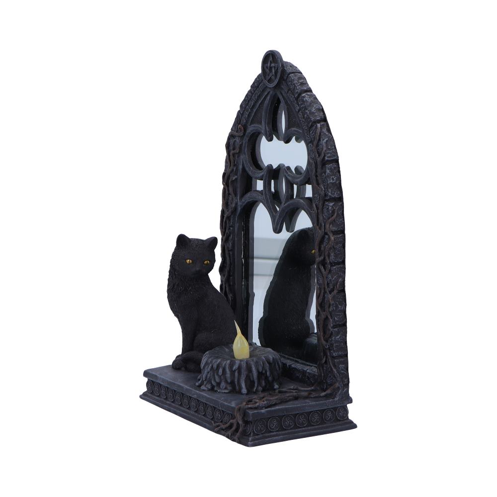 Cat Magic Mirror