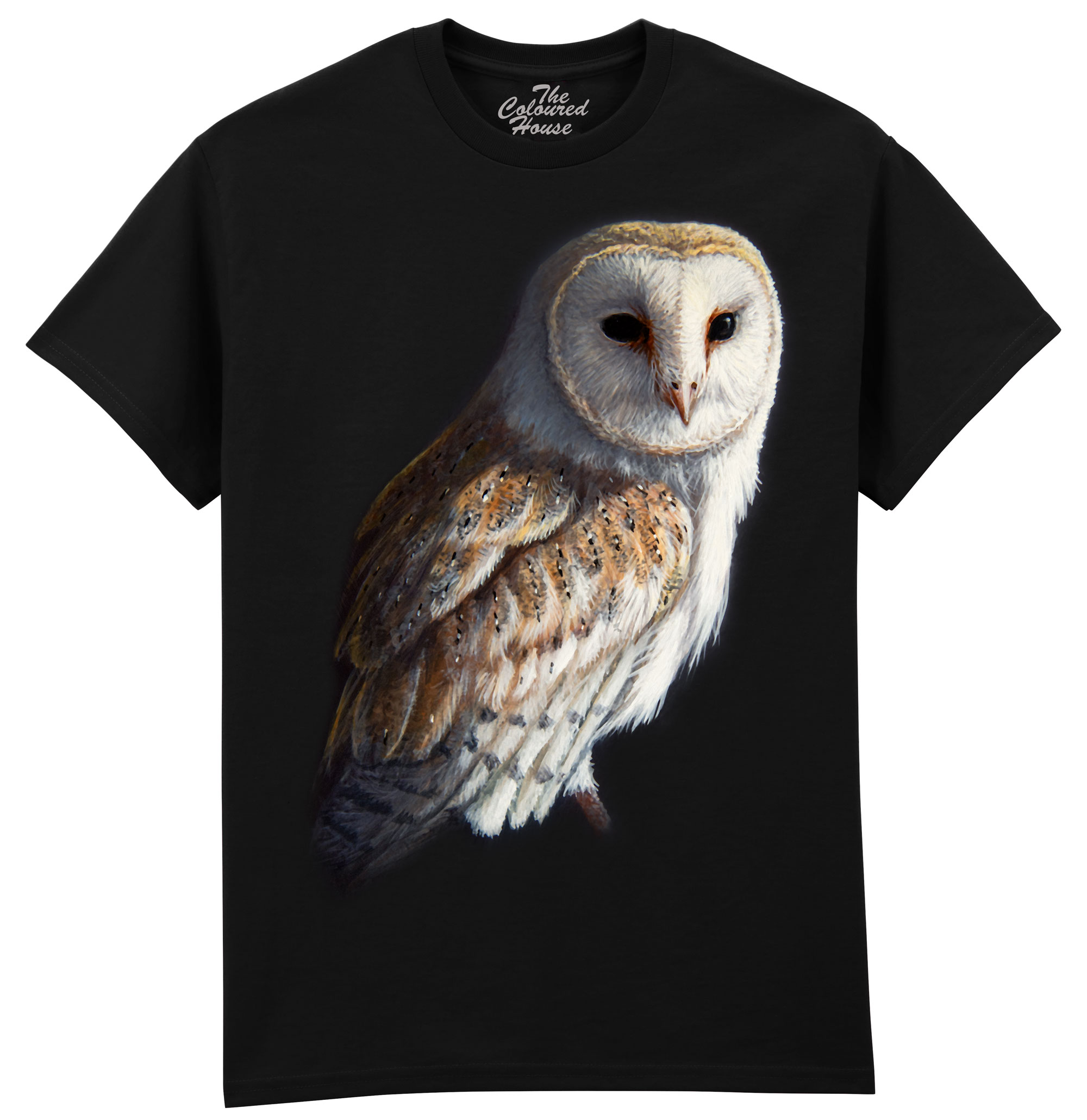 Barn Owl