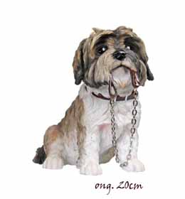 Shih Tzu Red/White LP12445
