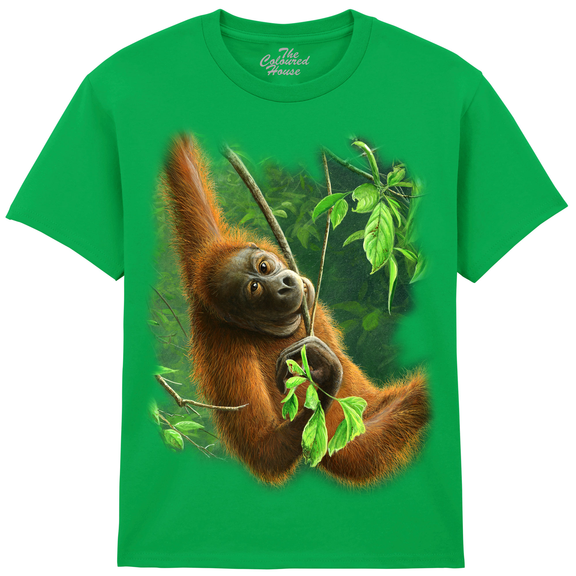 Hanging Orangutan KIDS
