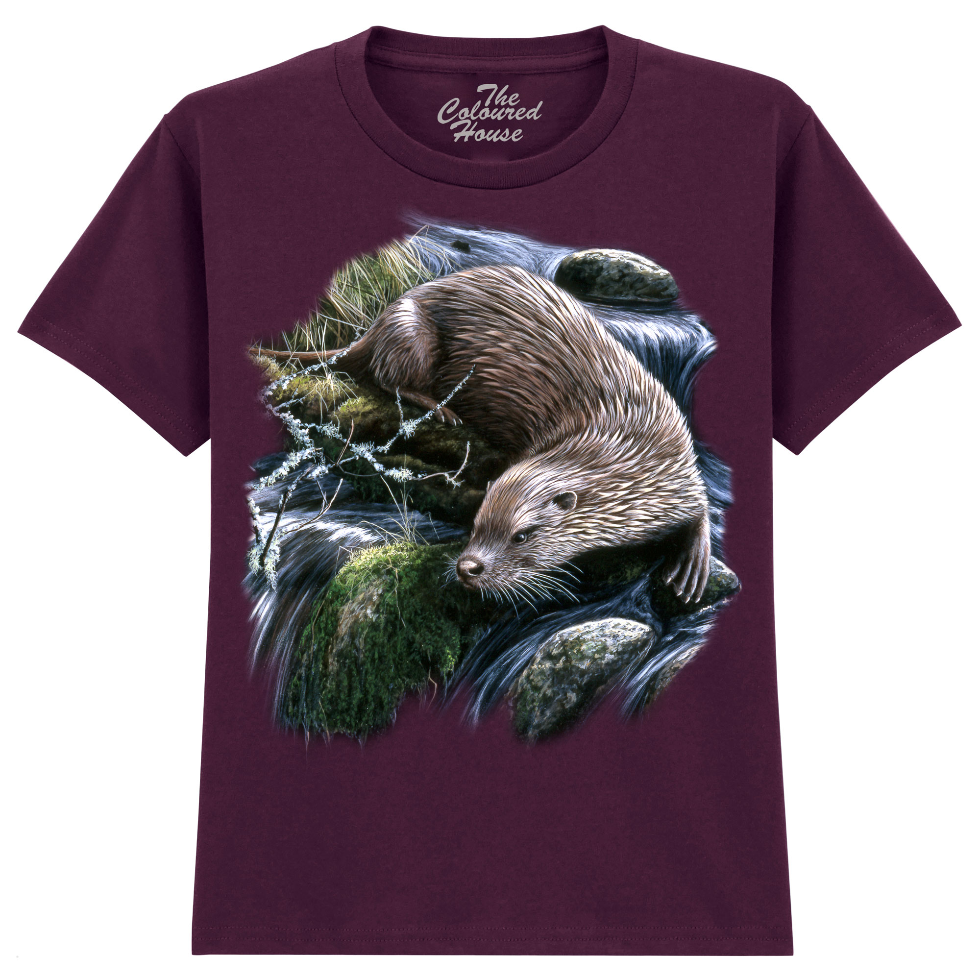 Exploring Otter KIDS