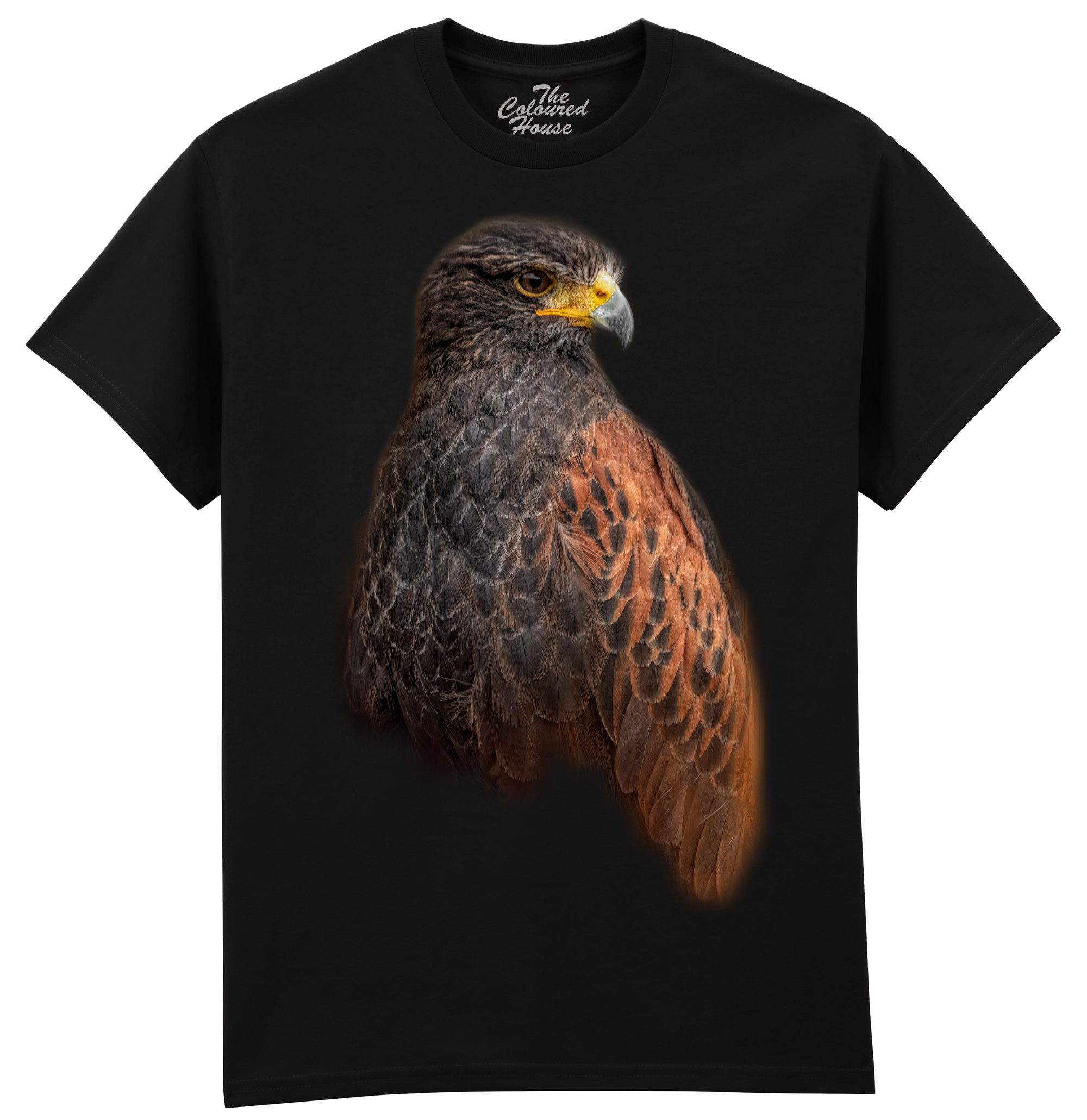 The Hunter - Golden Eagle