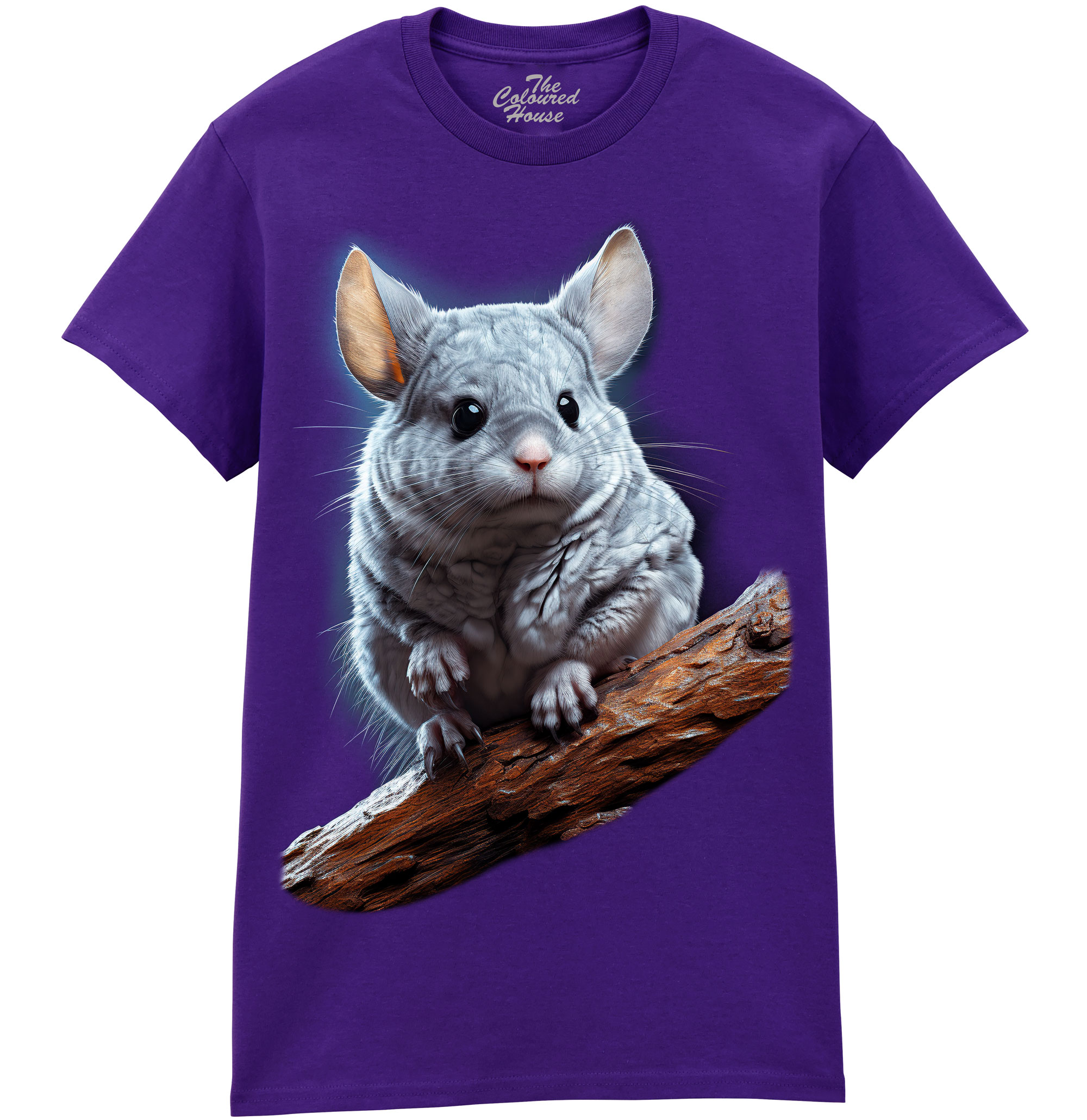 Chinchilla
