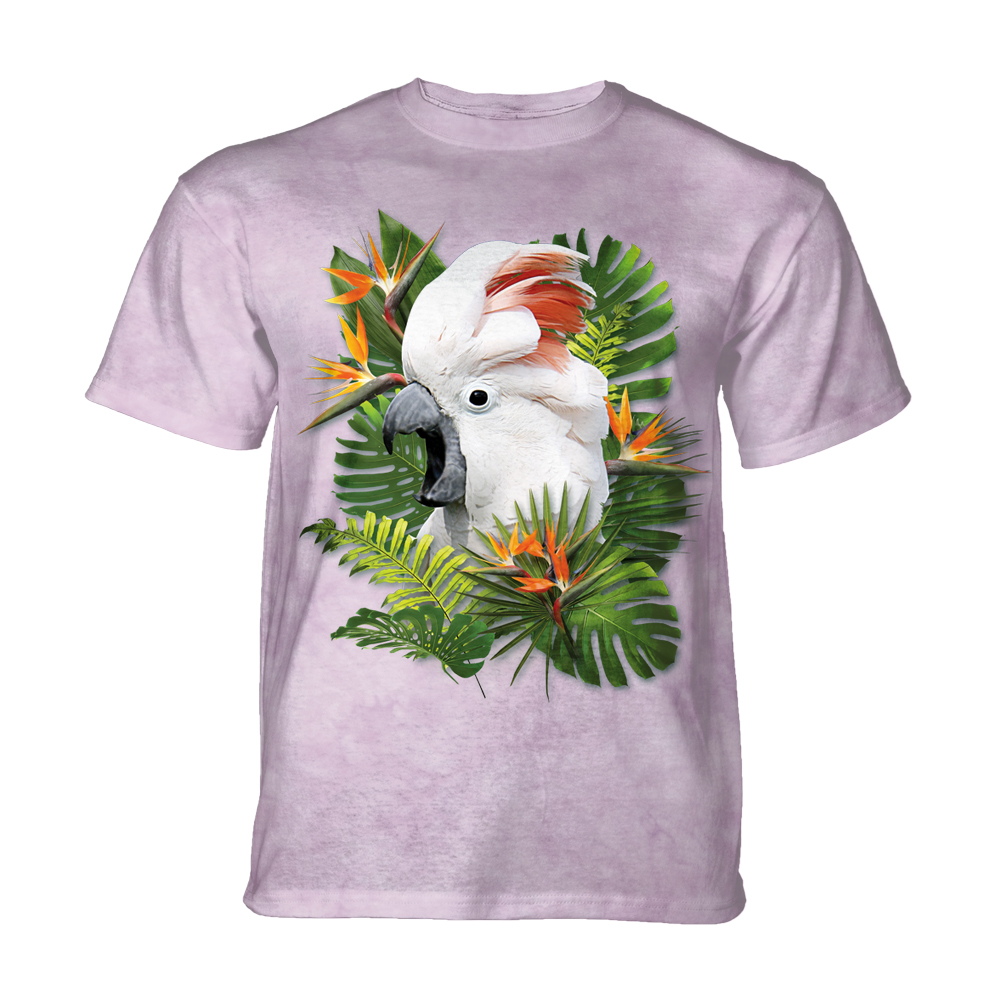 Moluccan Cockatoo KIDS
