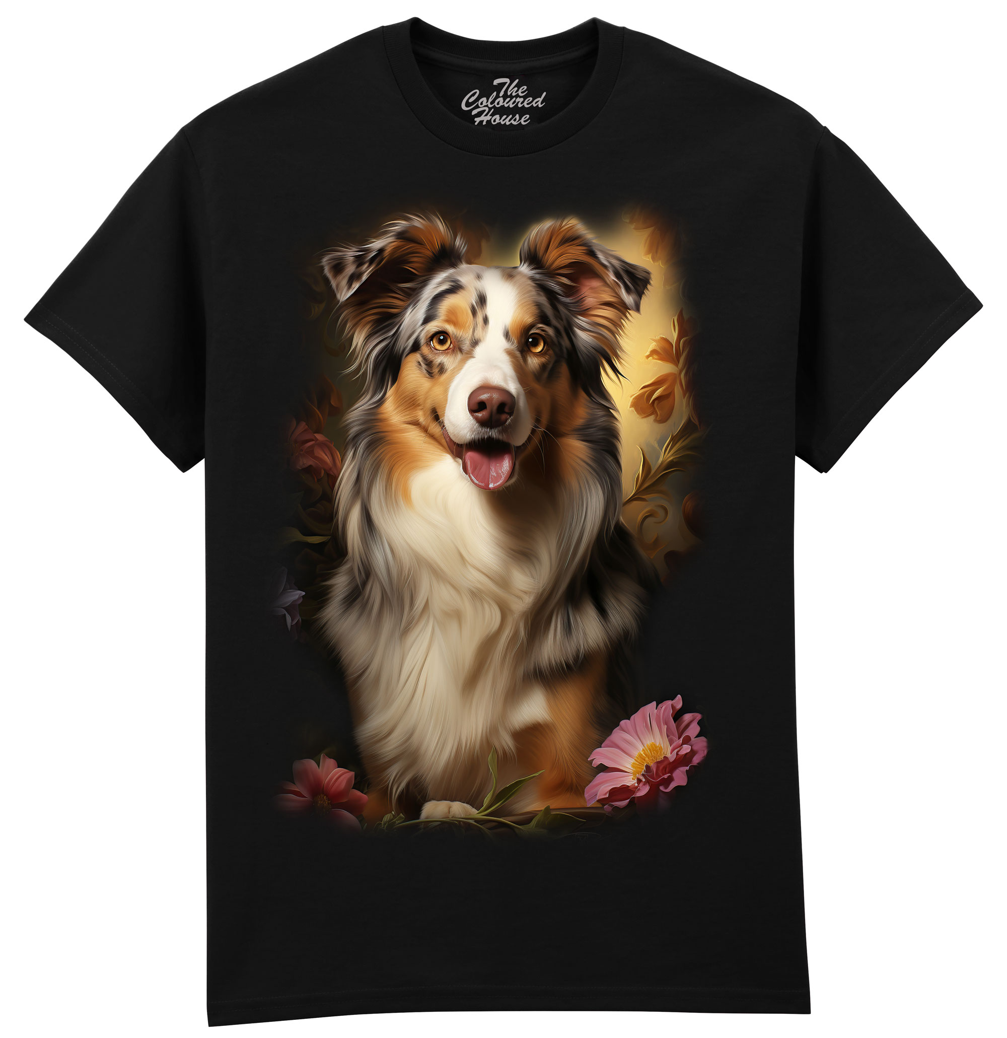 Australian Shepherd Portrait