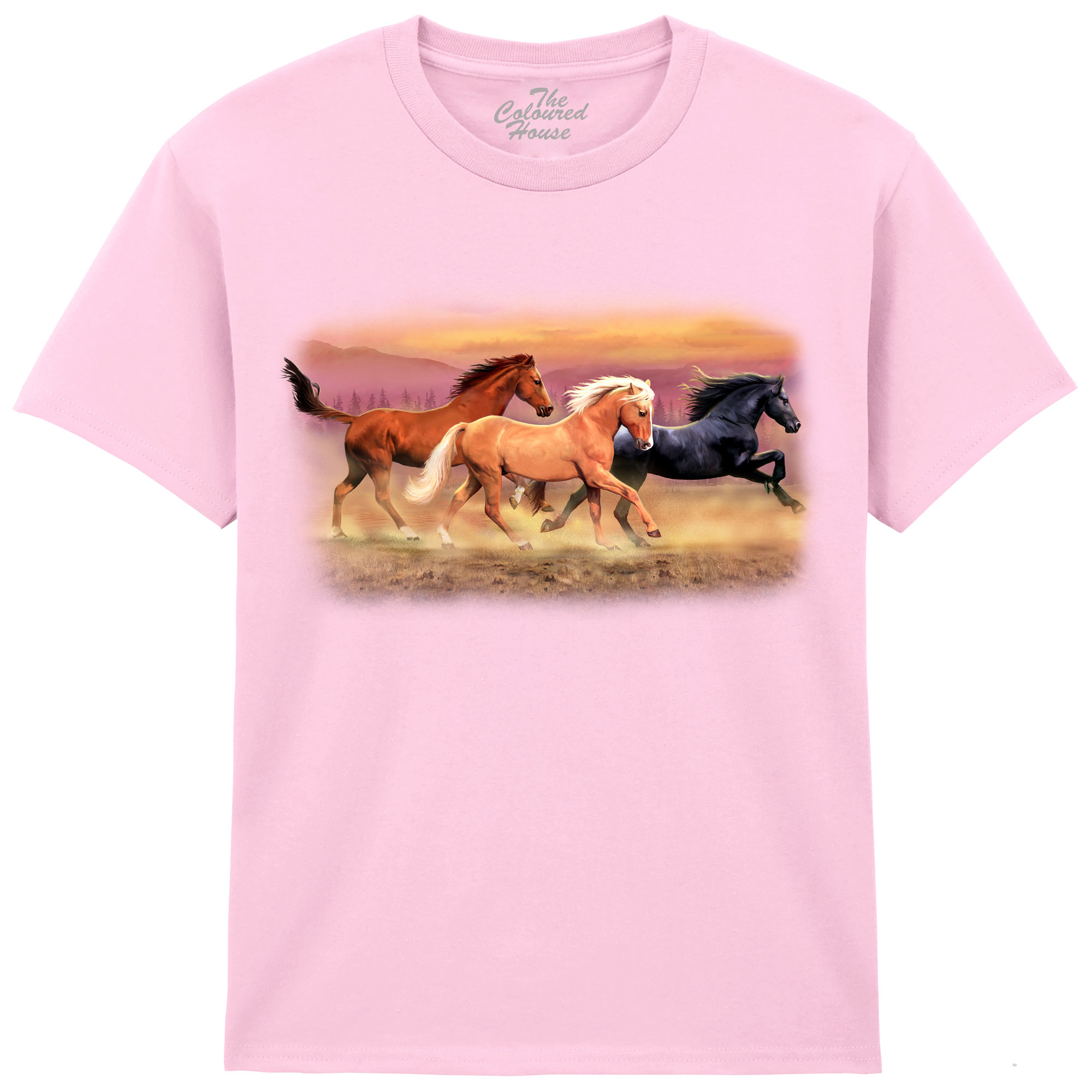 Running Free Horses KIDS