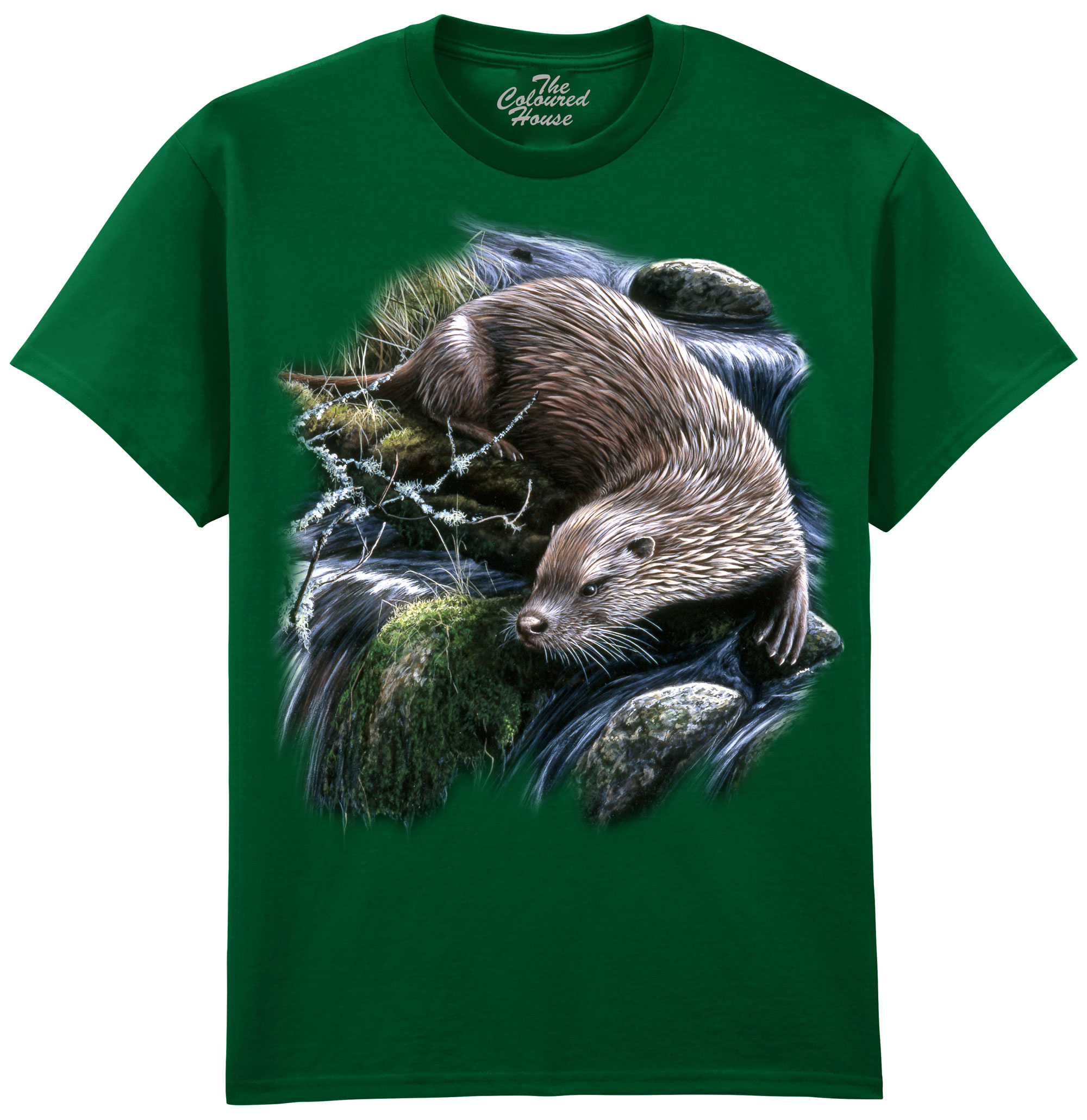 Exploring Otter Exploring Otter