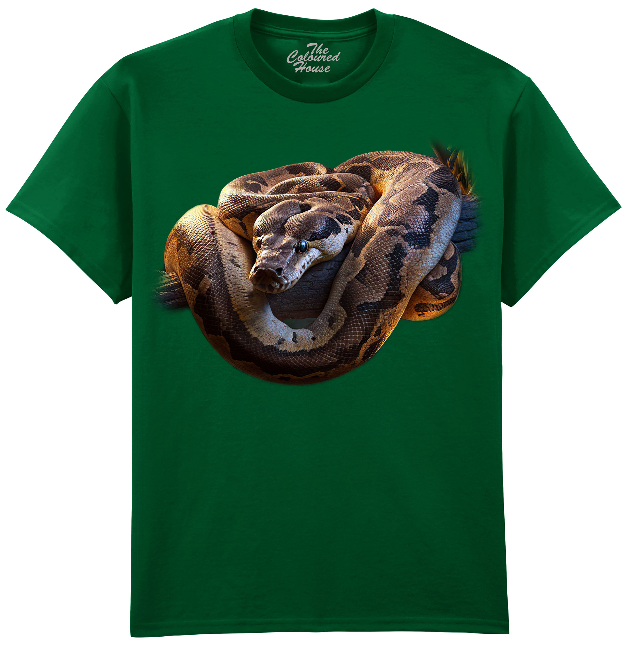 Jungle Snake