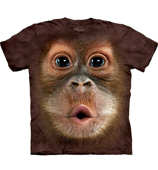 Big Face Baby Orangutan