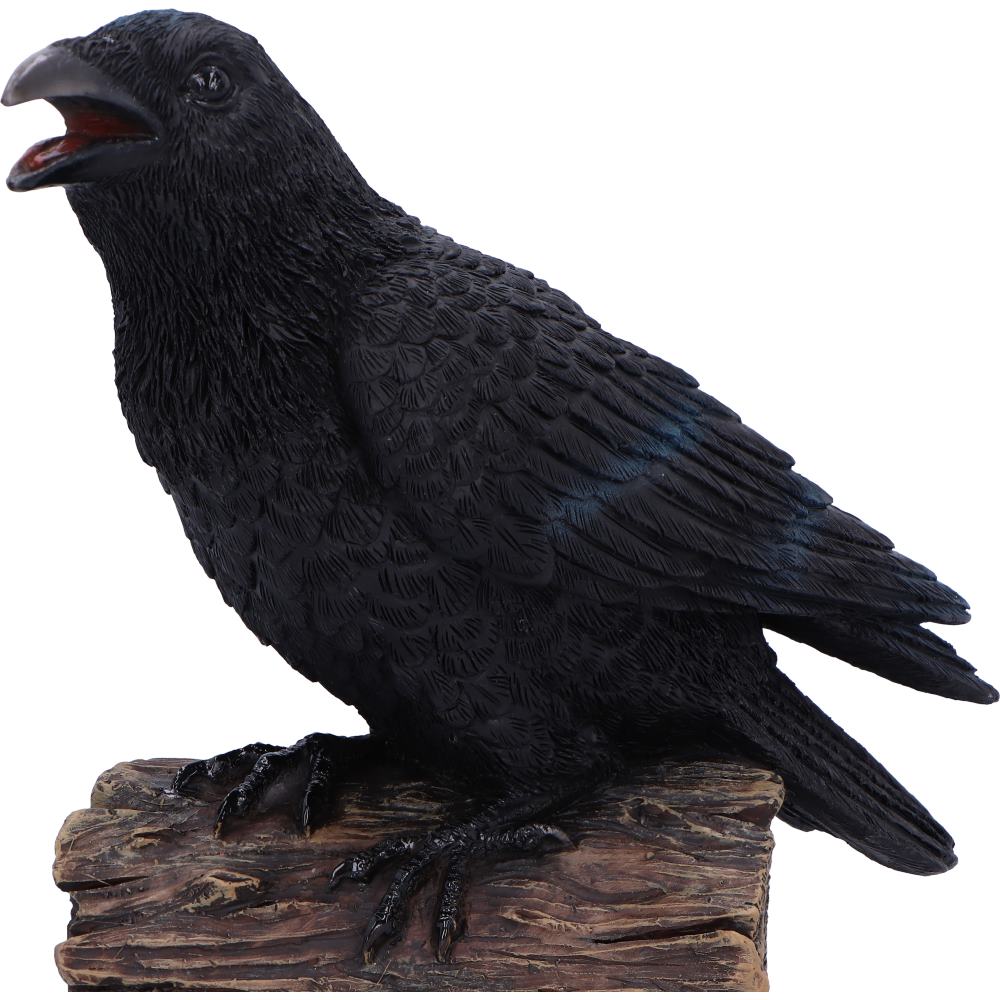 Ravens Cry 18cm Ravens Cry 18cm