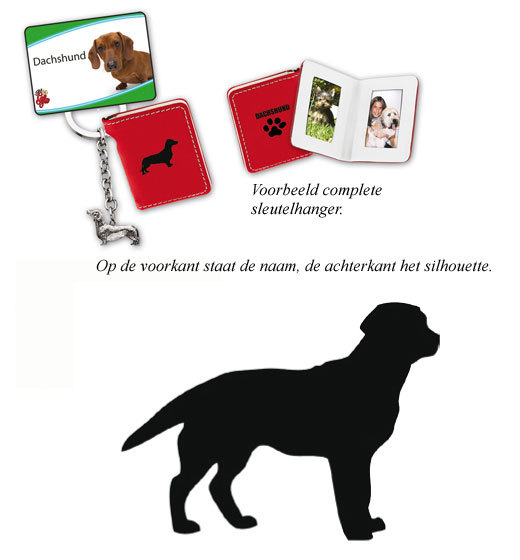 Labrador