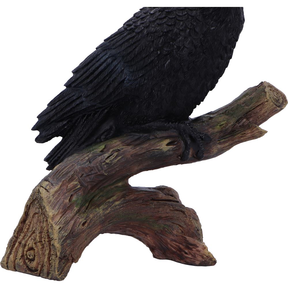 Ravens Perch 20cm Ravens Perch 20cm