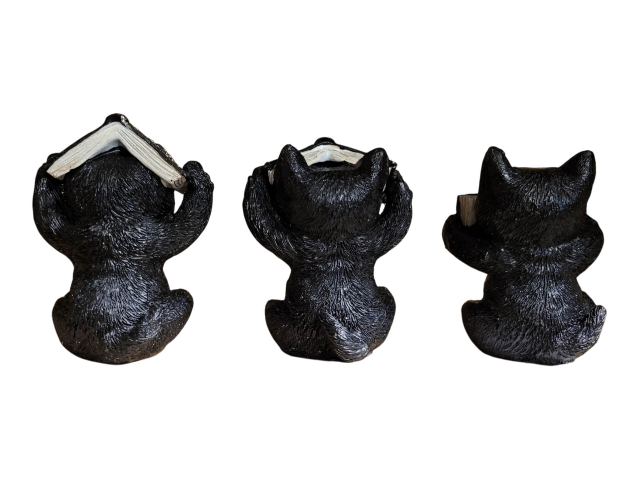 Three Wise Black Cat Books