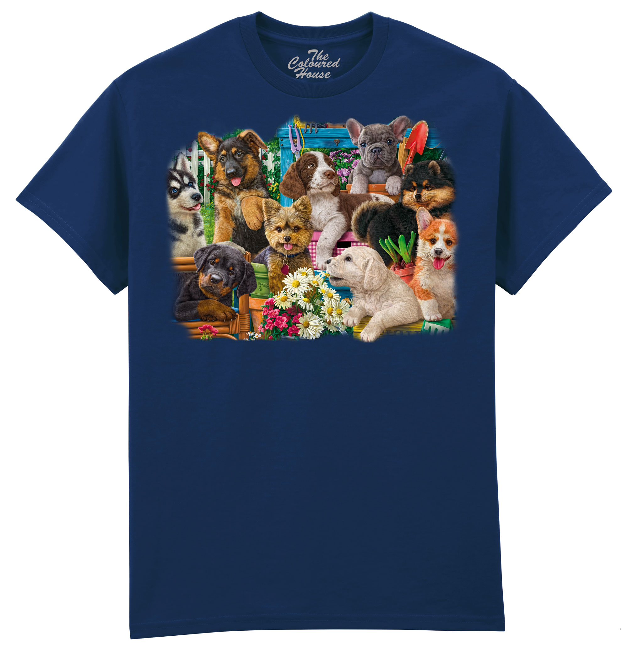 Funny Puppies