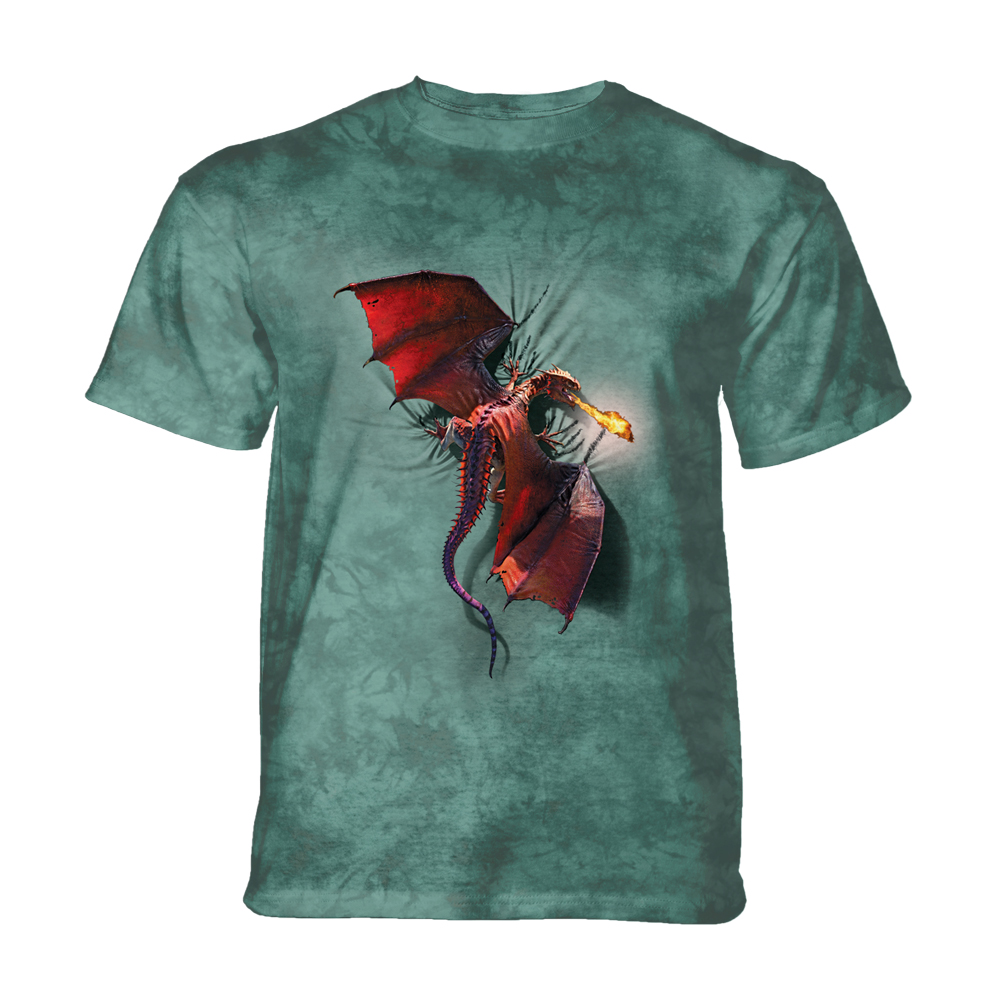 Climbing Dragon KIDS