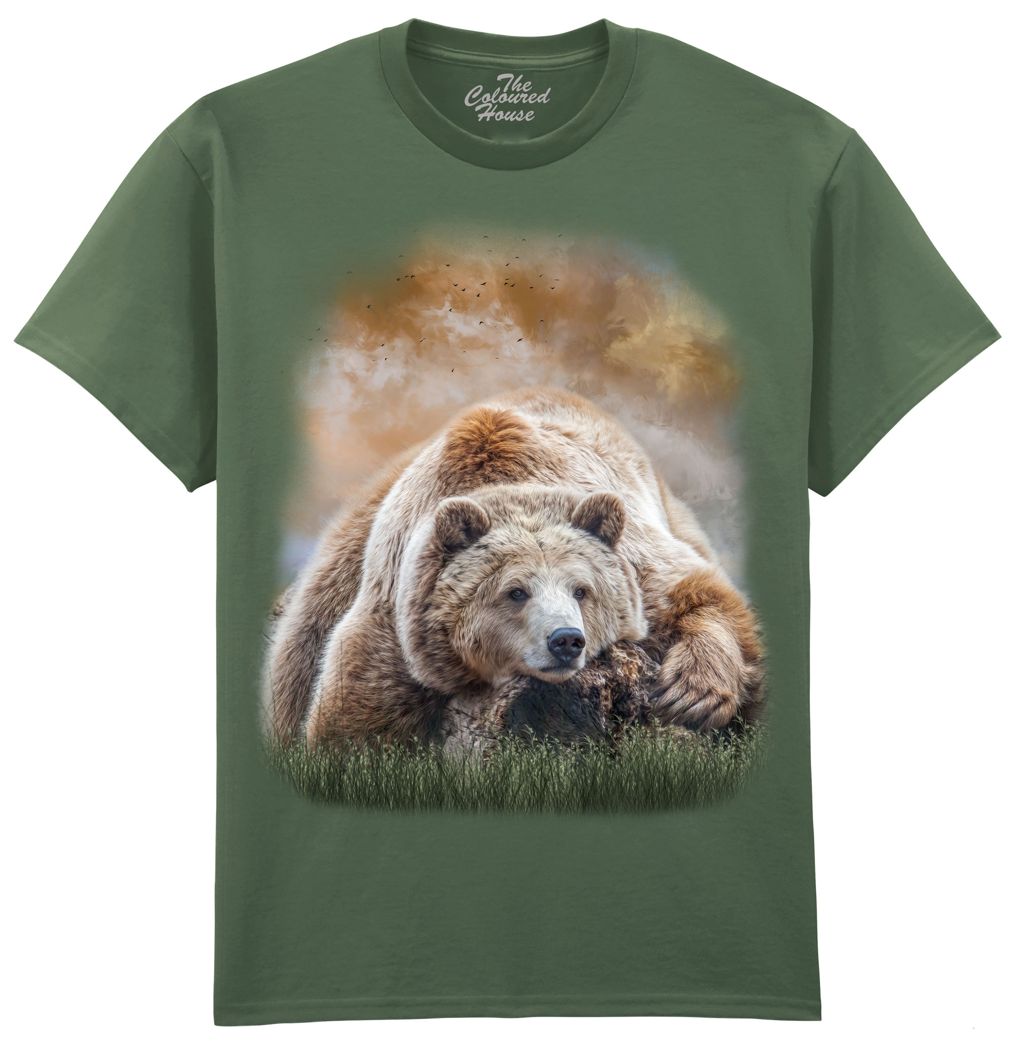 Bearly Awake
