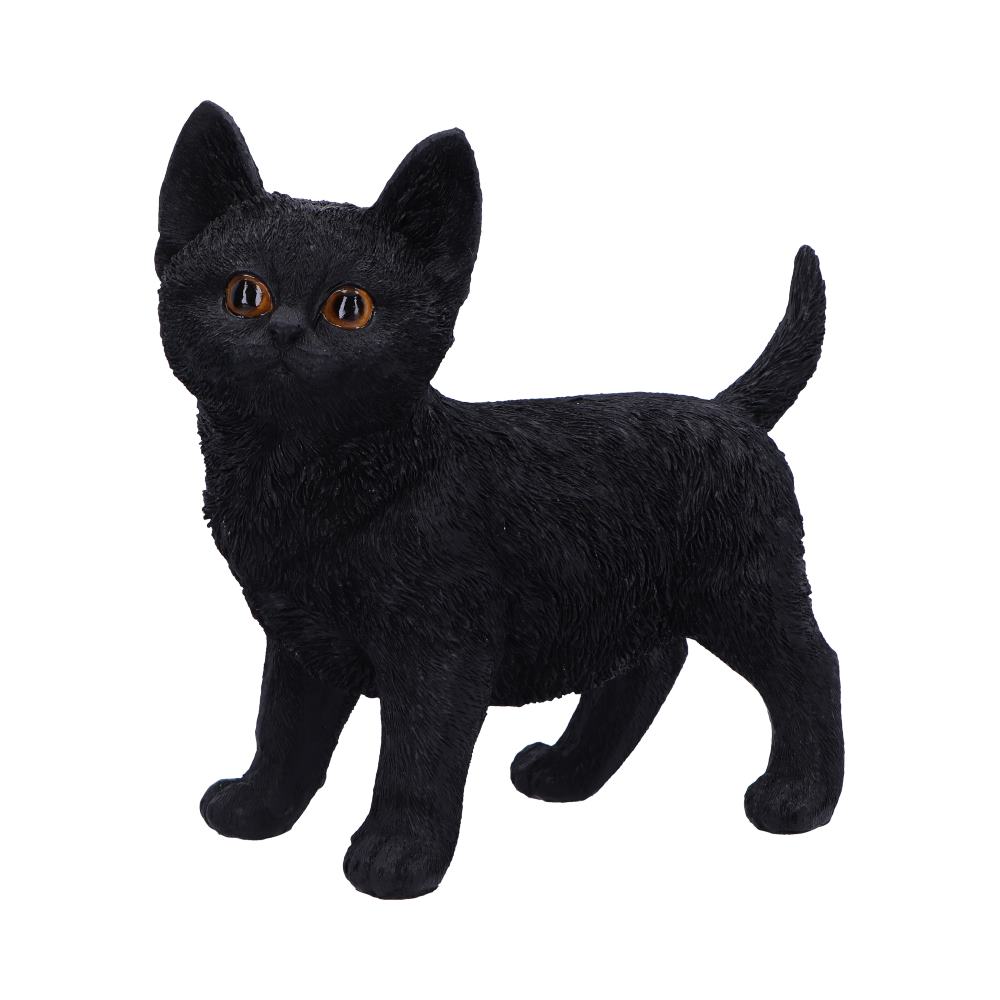 Charmed Companion 20cm - Black Cat