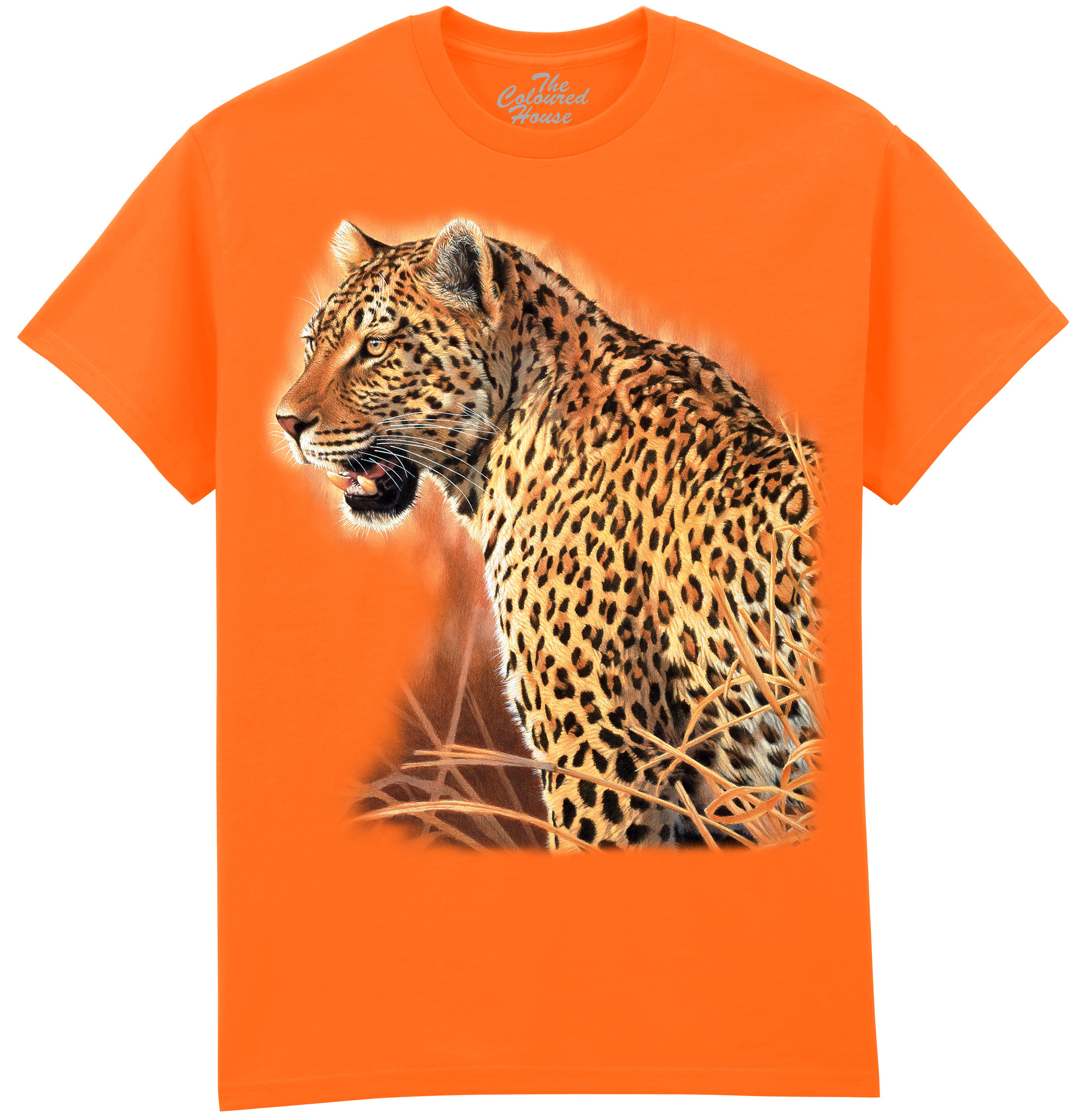 Brave Leopard