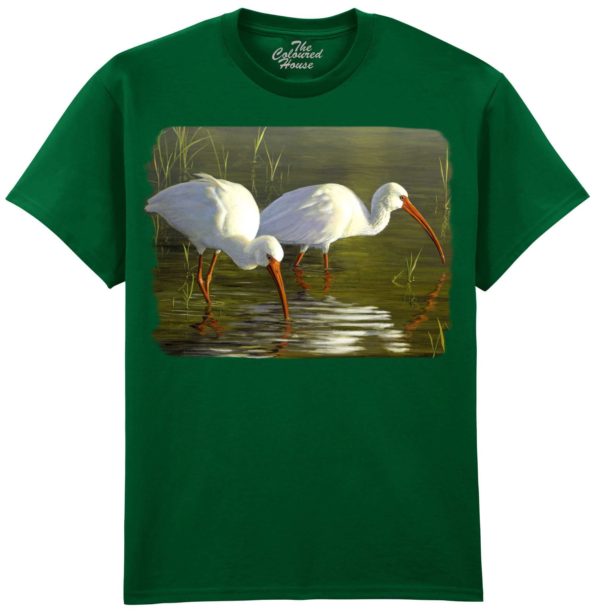 Ibis Pair