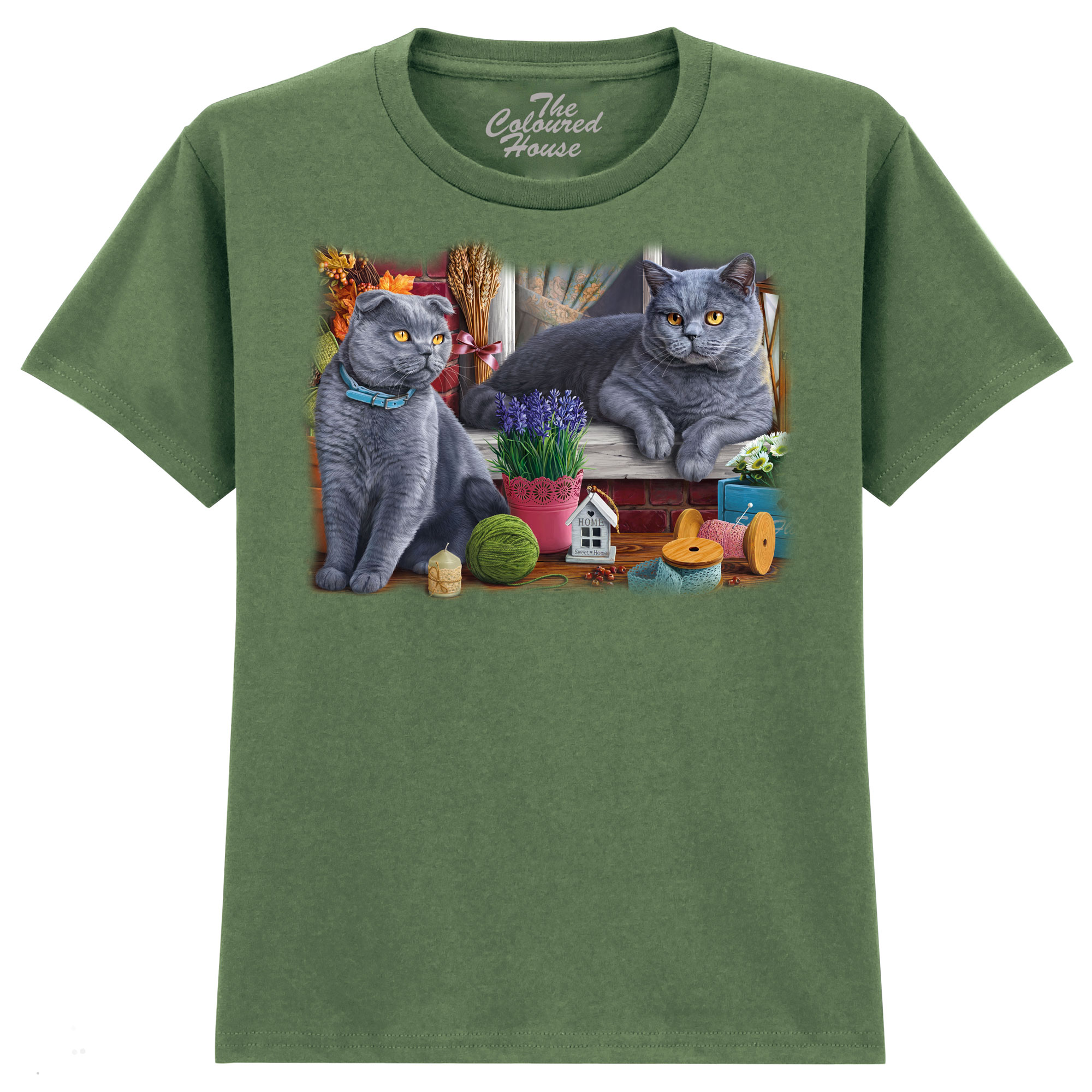 Brititsh Cats KIDS