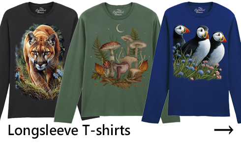 Longsleeves