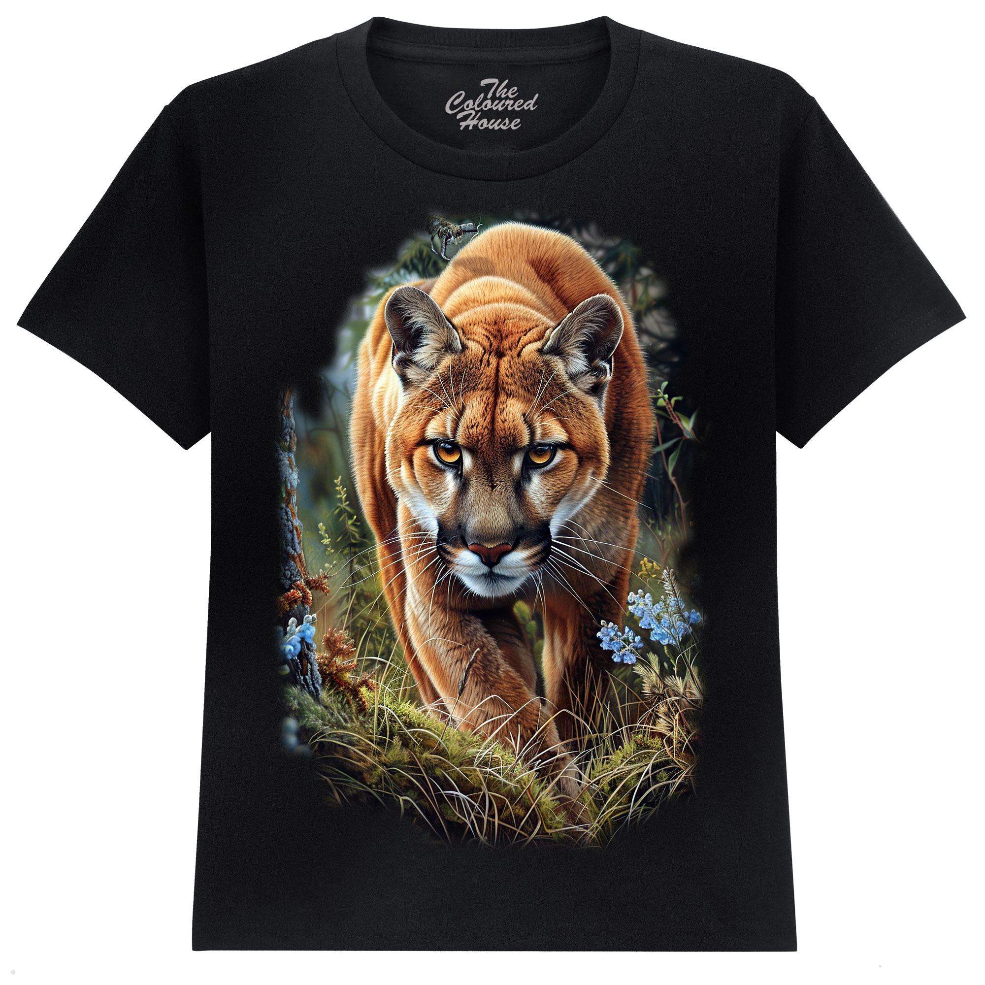 Approaching Mountain Lion KIDS