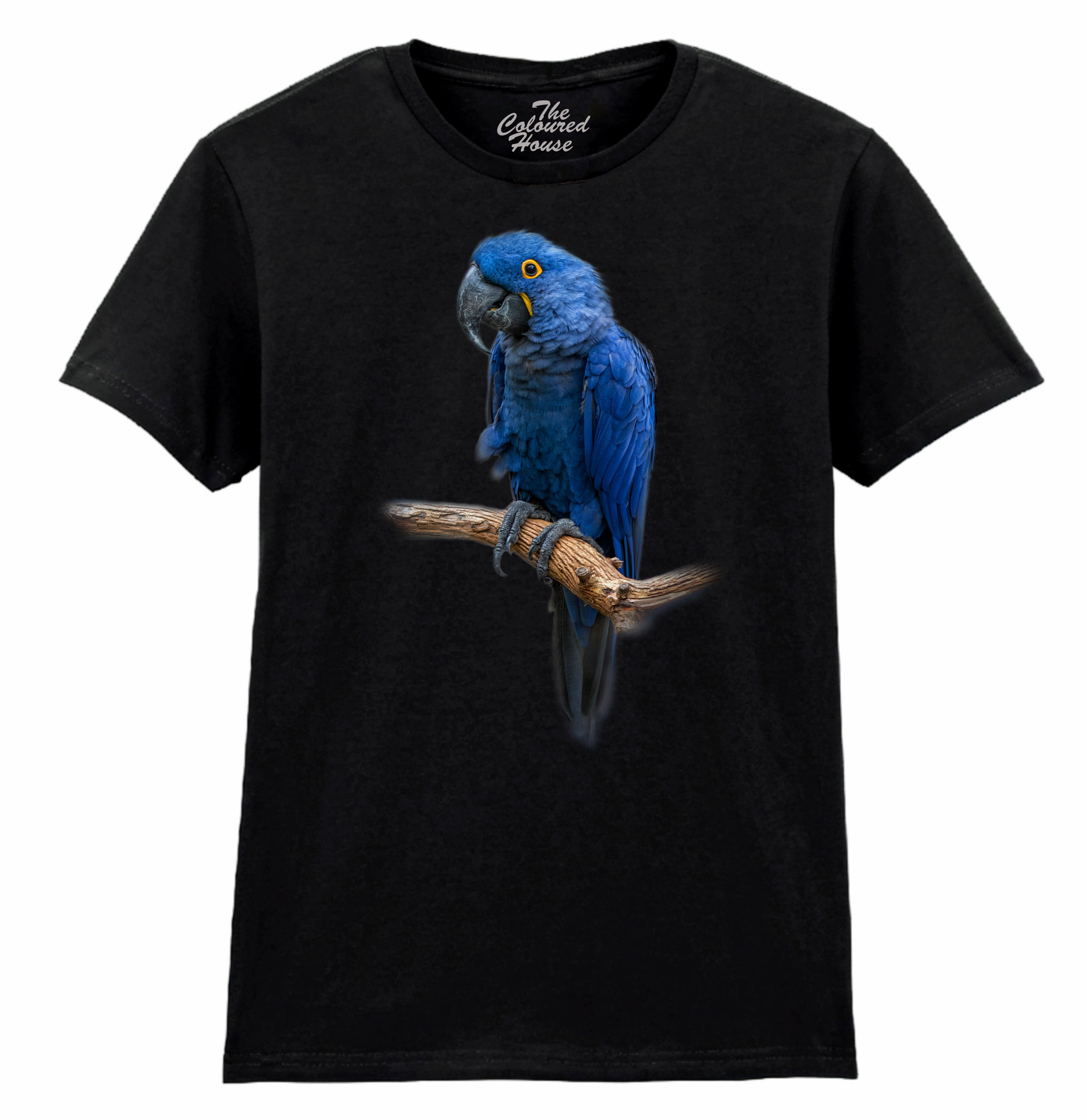 Blue Gem - Macaw Ladies T-shirt