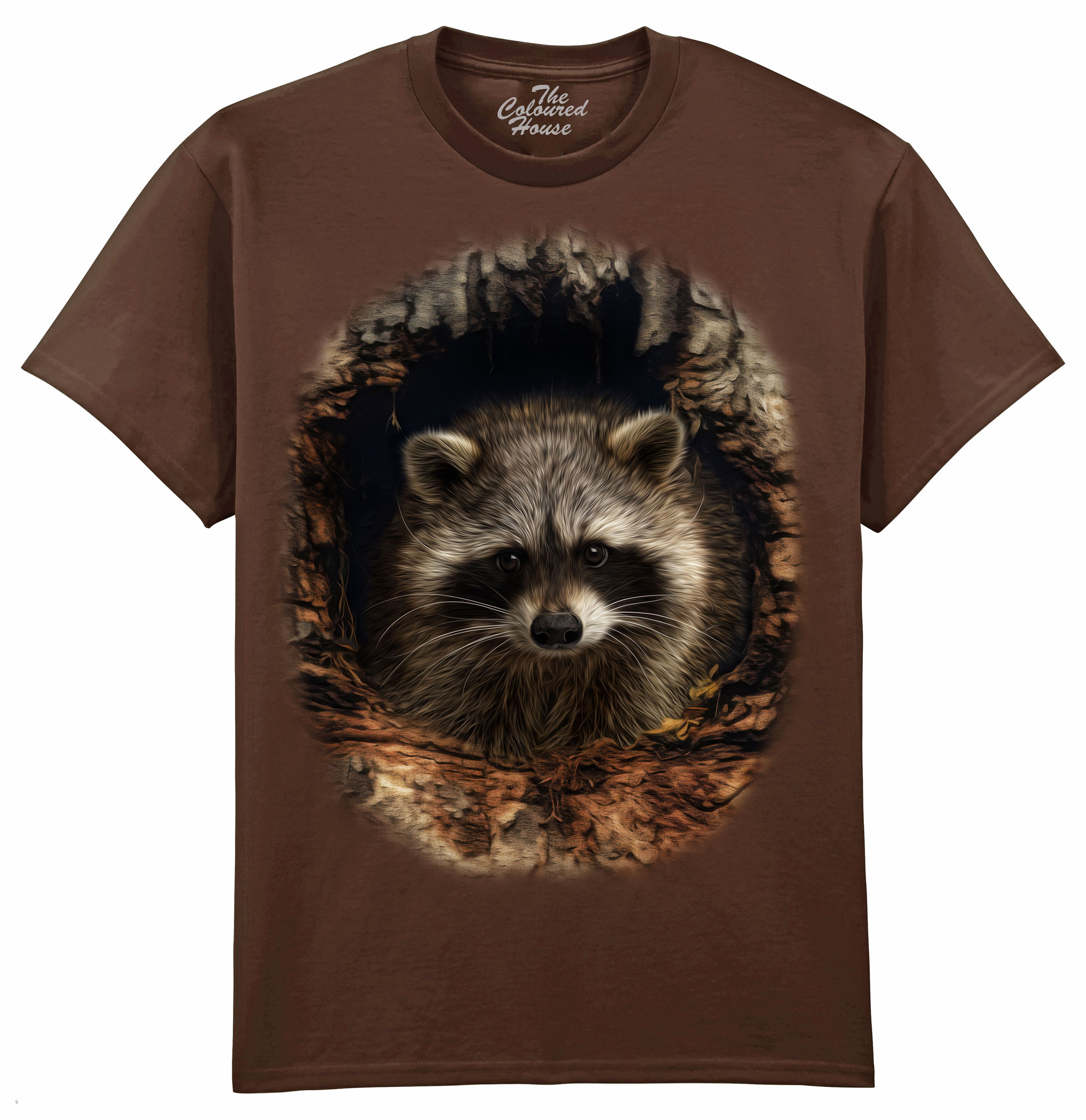 Through The Woodland Window - Racoon