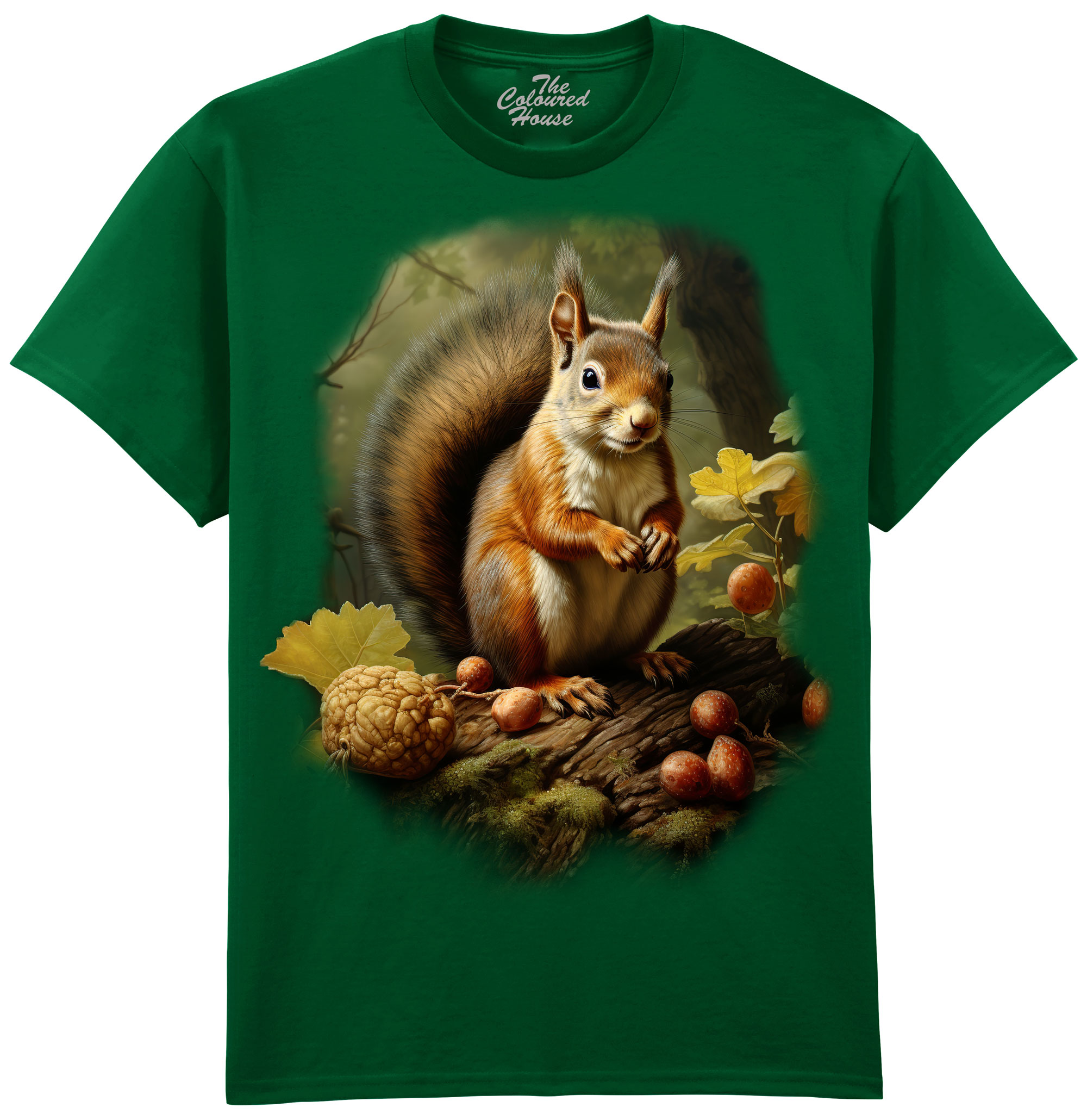 Squirrel In The Woods