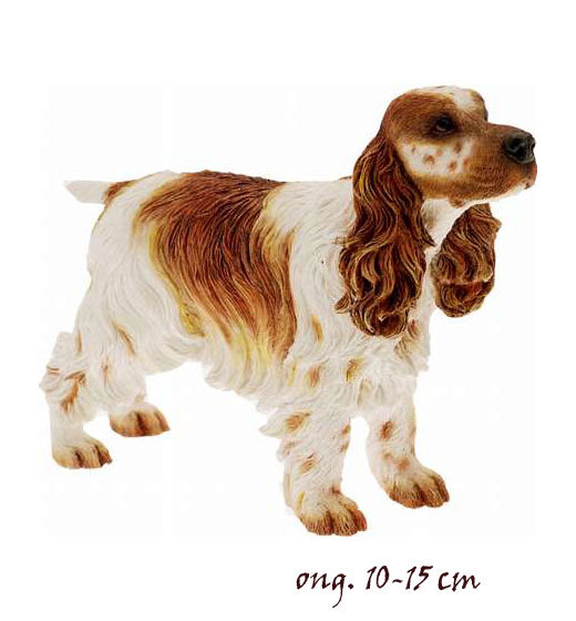 Cocker Spaniel br-wit LP14273