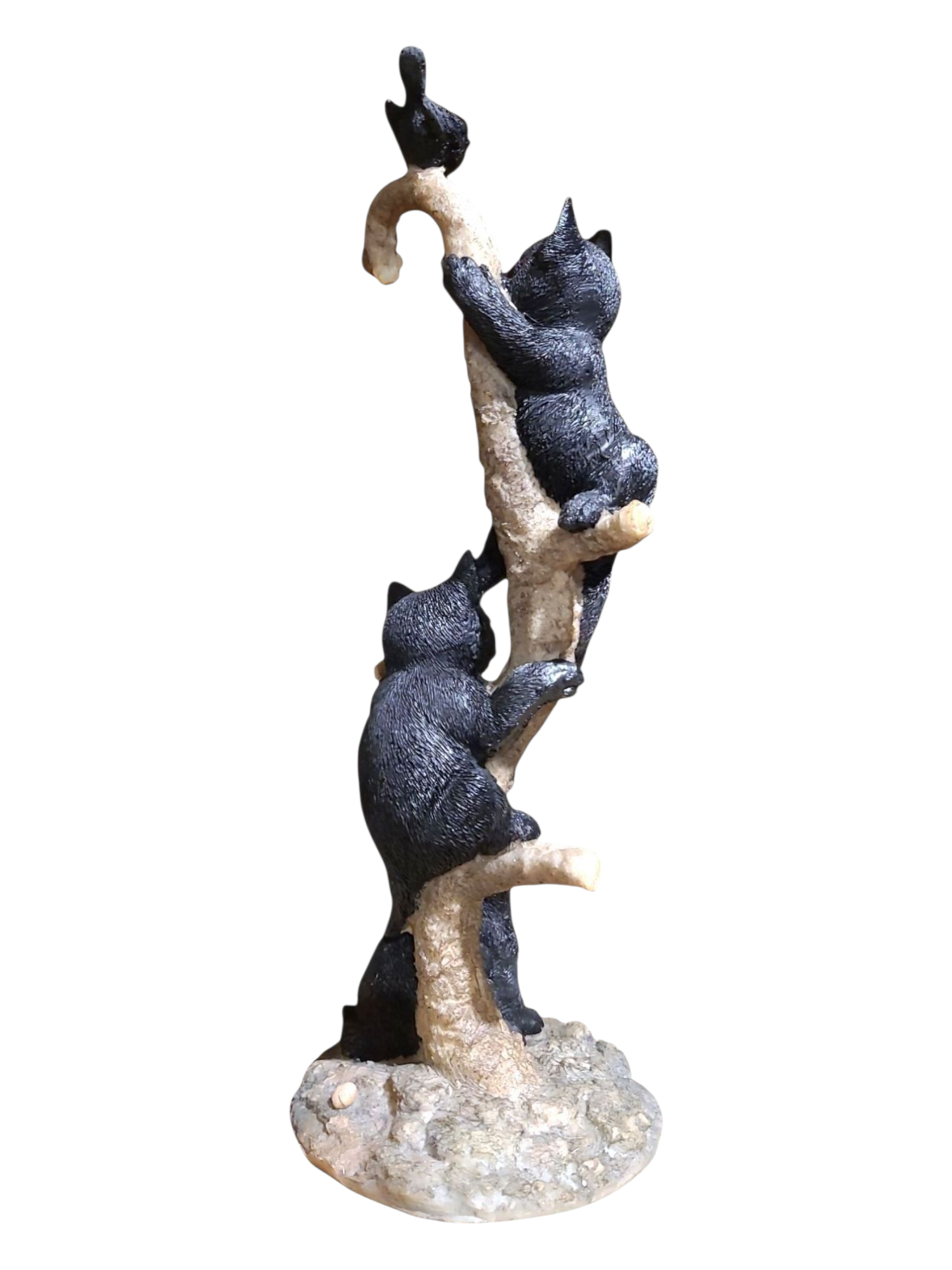 Black Cats Climbing