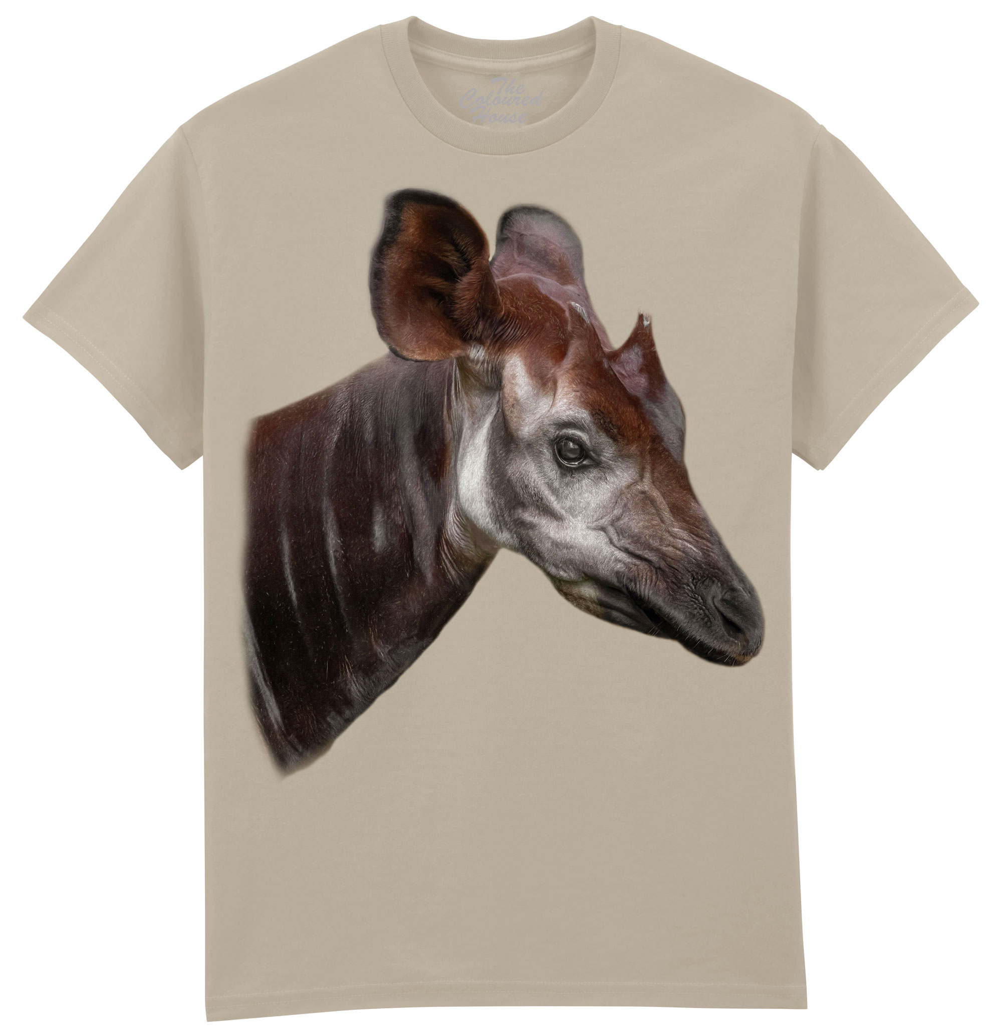 The Elusive Okapi The Elusive Okapi