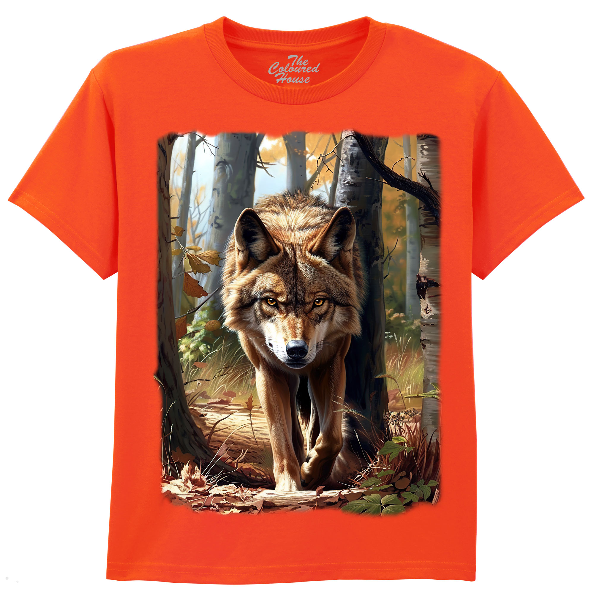 Autumn Approaching KIDS