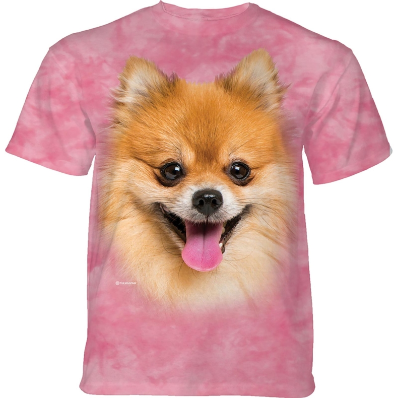 Happy Pomeranian