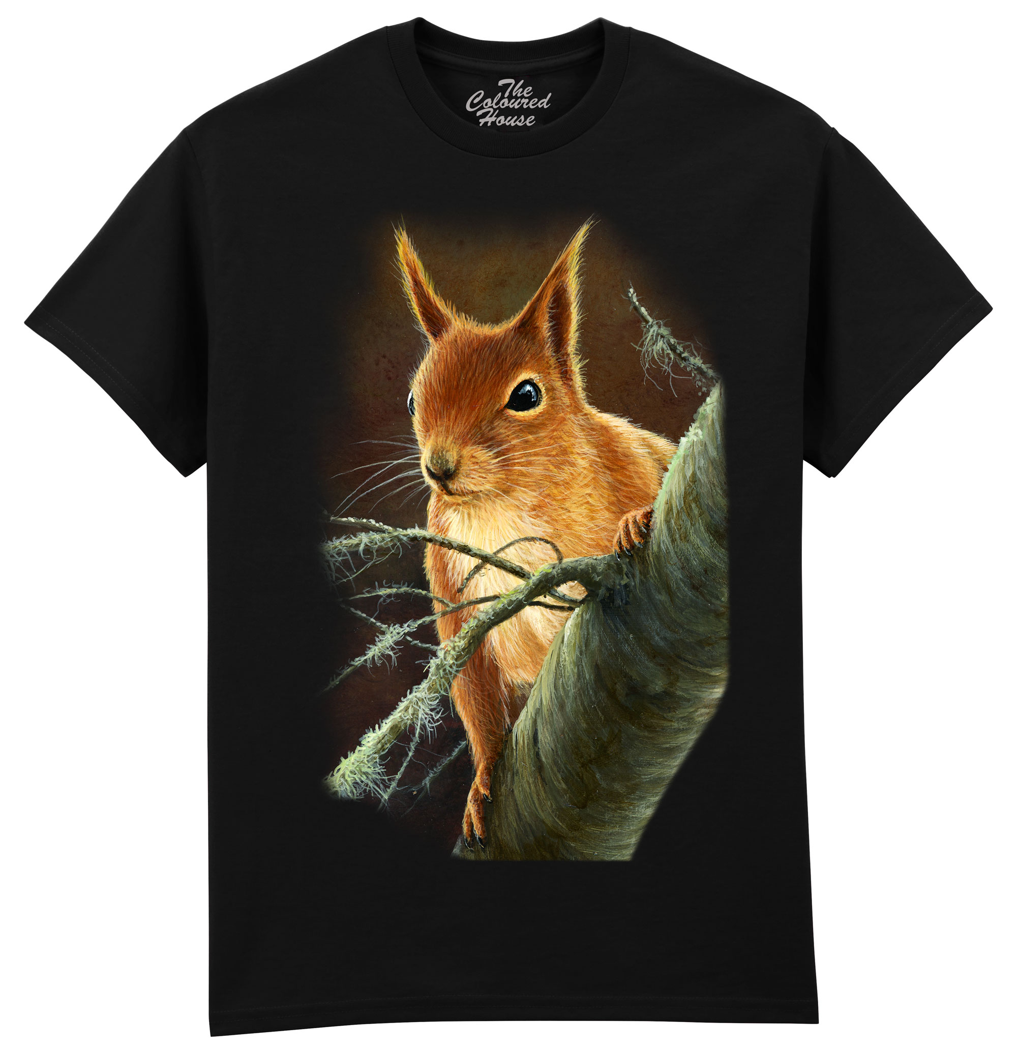 Curious Red Squirrel