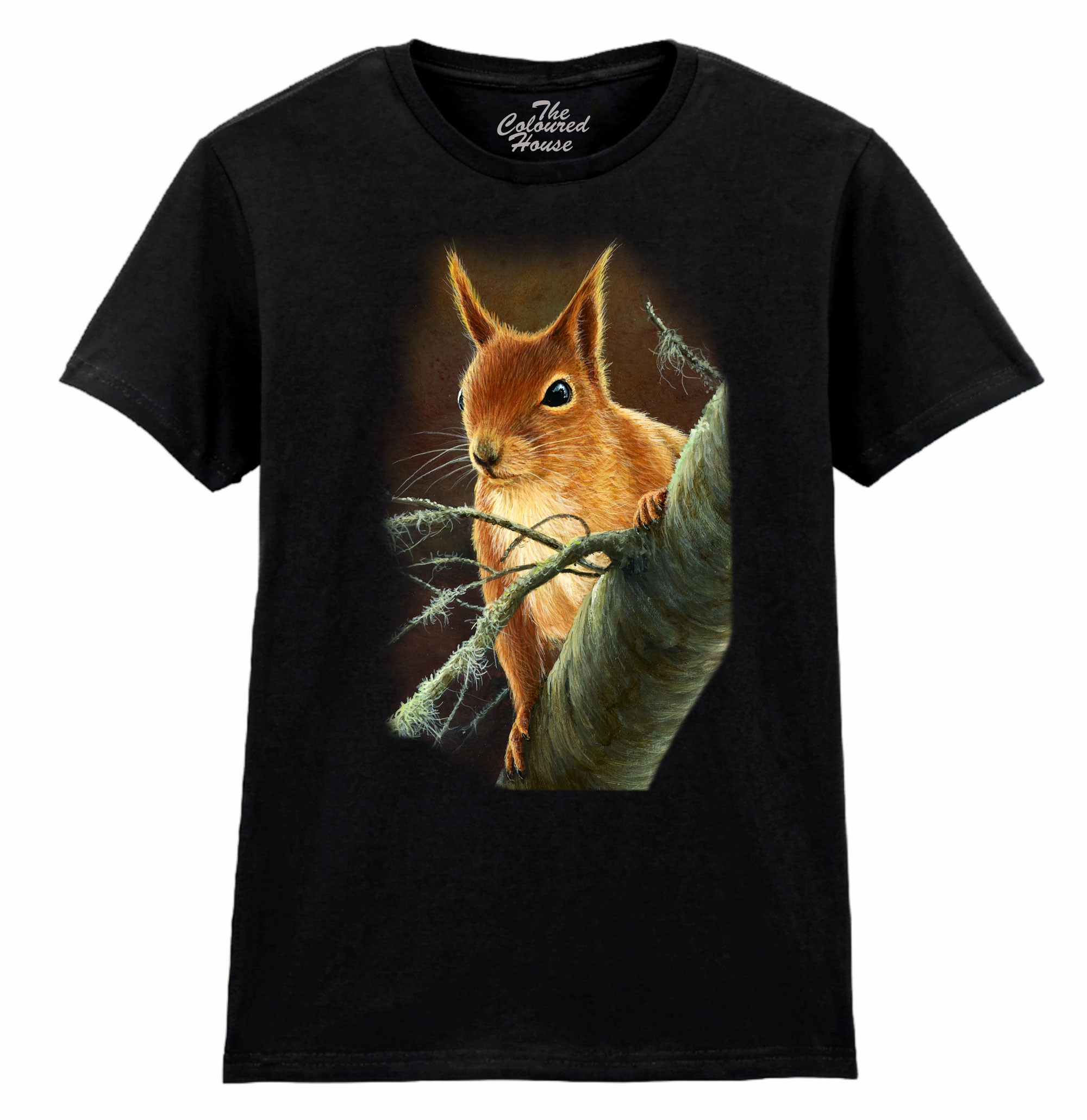 Curious Red Squirrel Ladies T-shirt