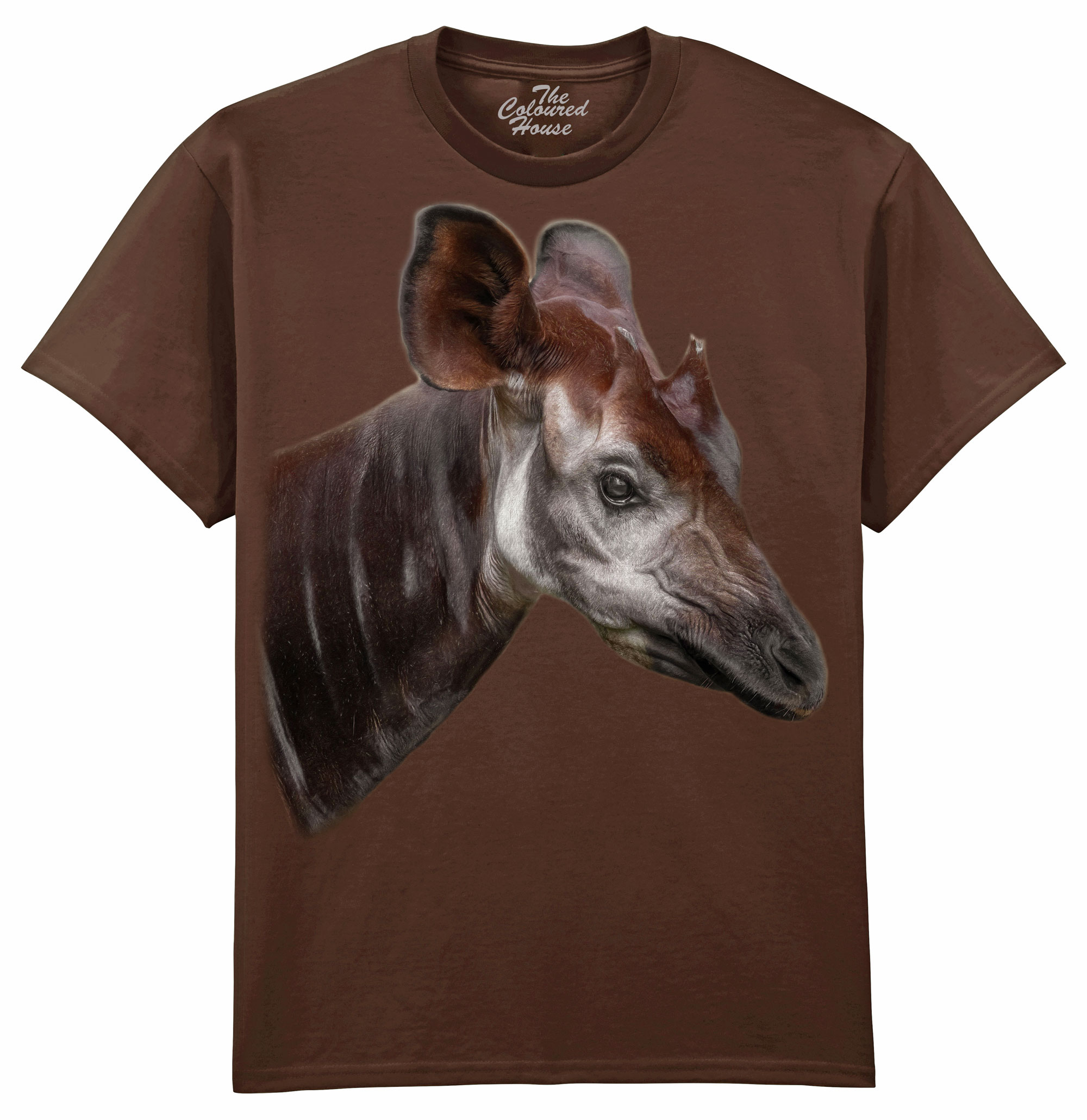 The Elusive Okapi The Elusive Okapi
