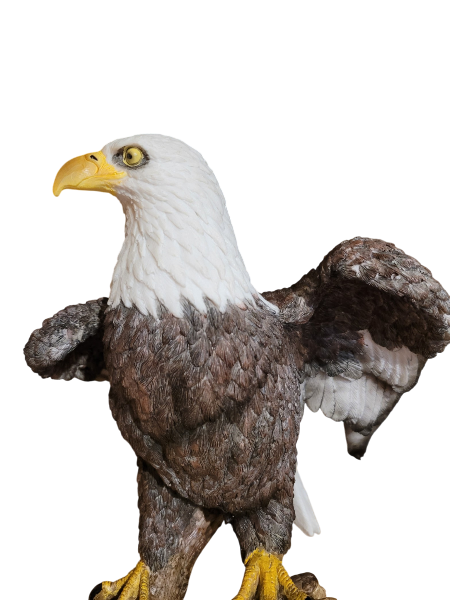Eagle Open Wing