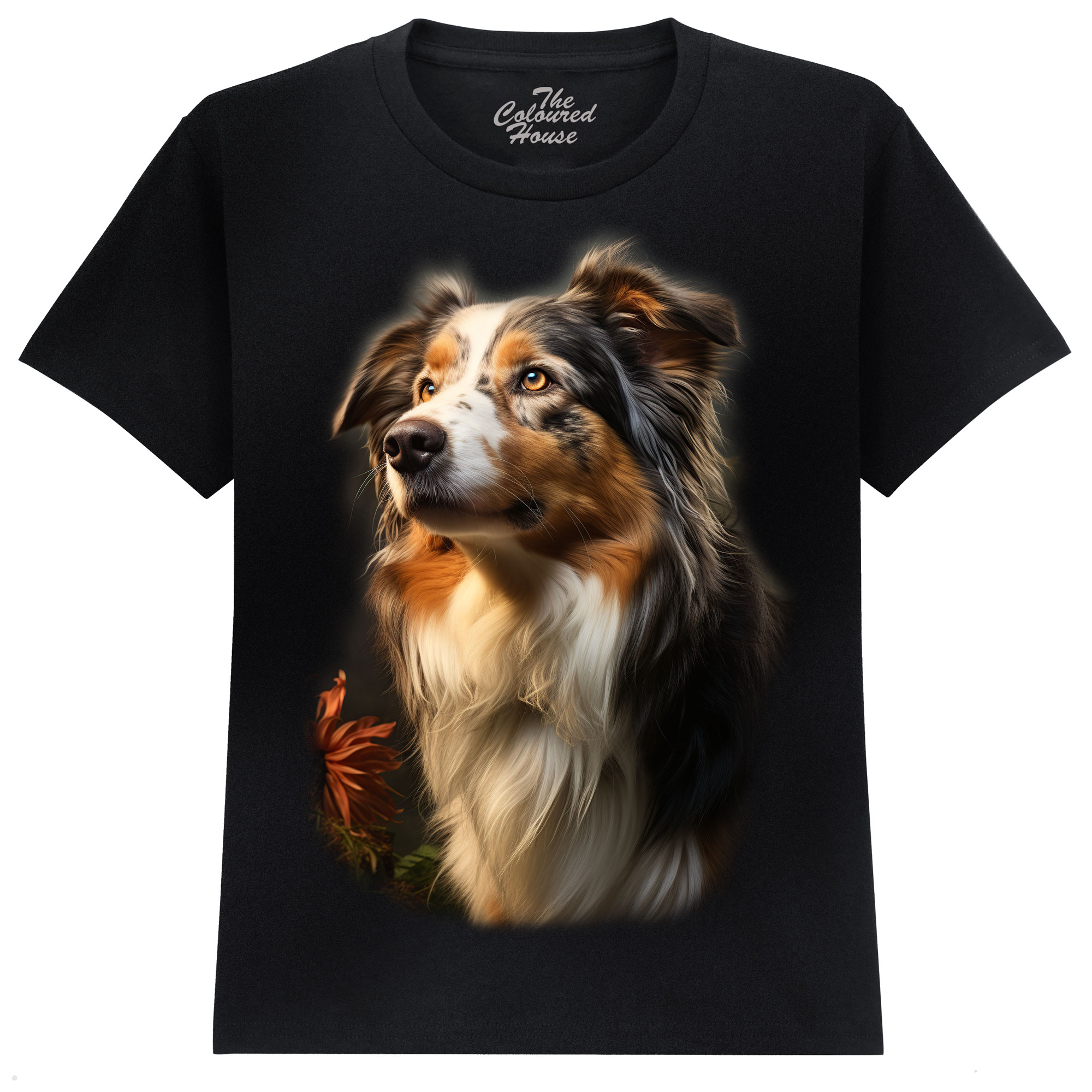 Australian Shepherd KIDS