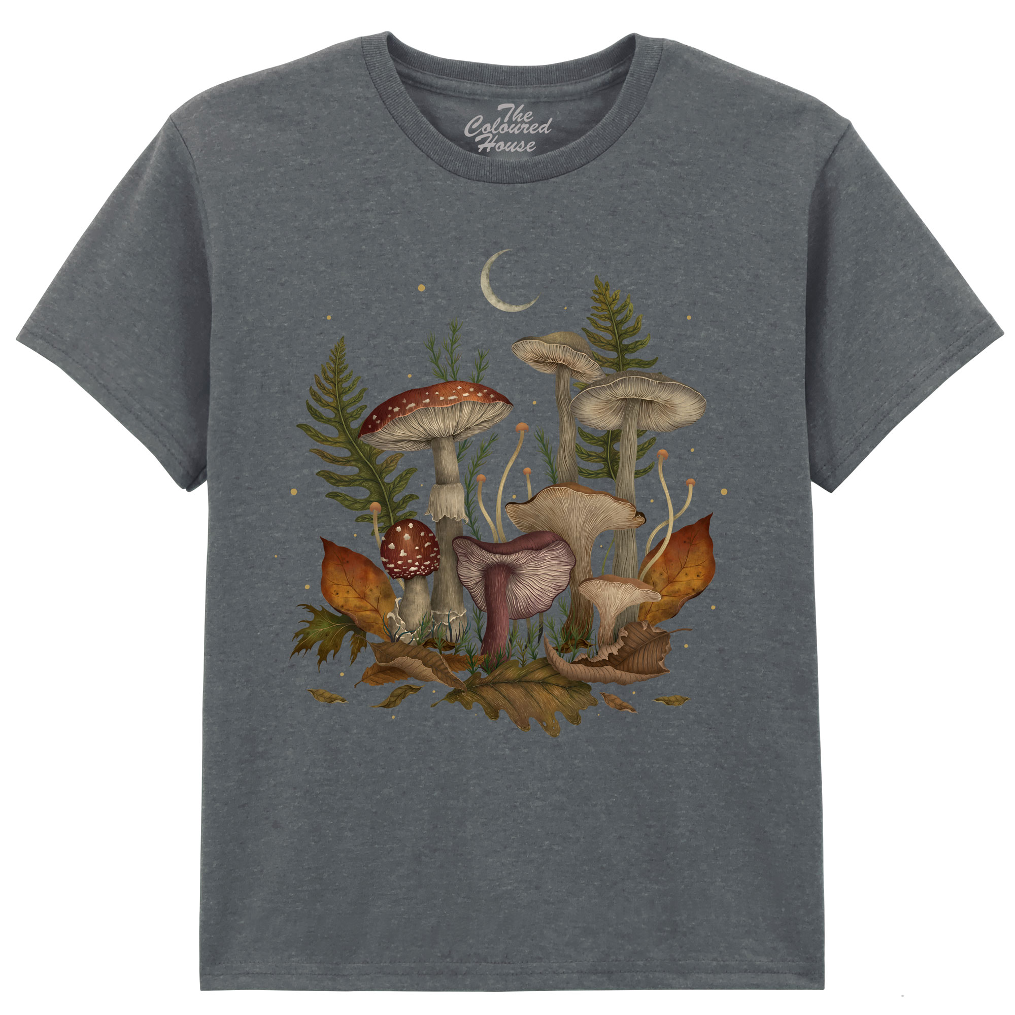 Autumn Mushrooms KIDS