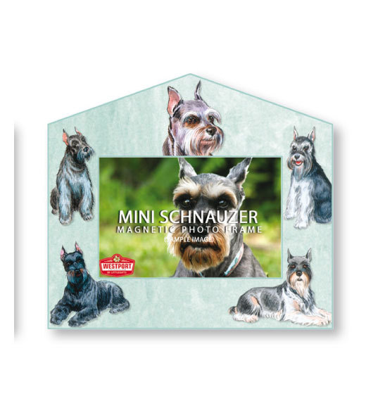 Mini Schnauzer