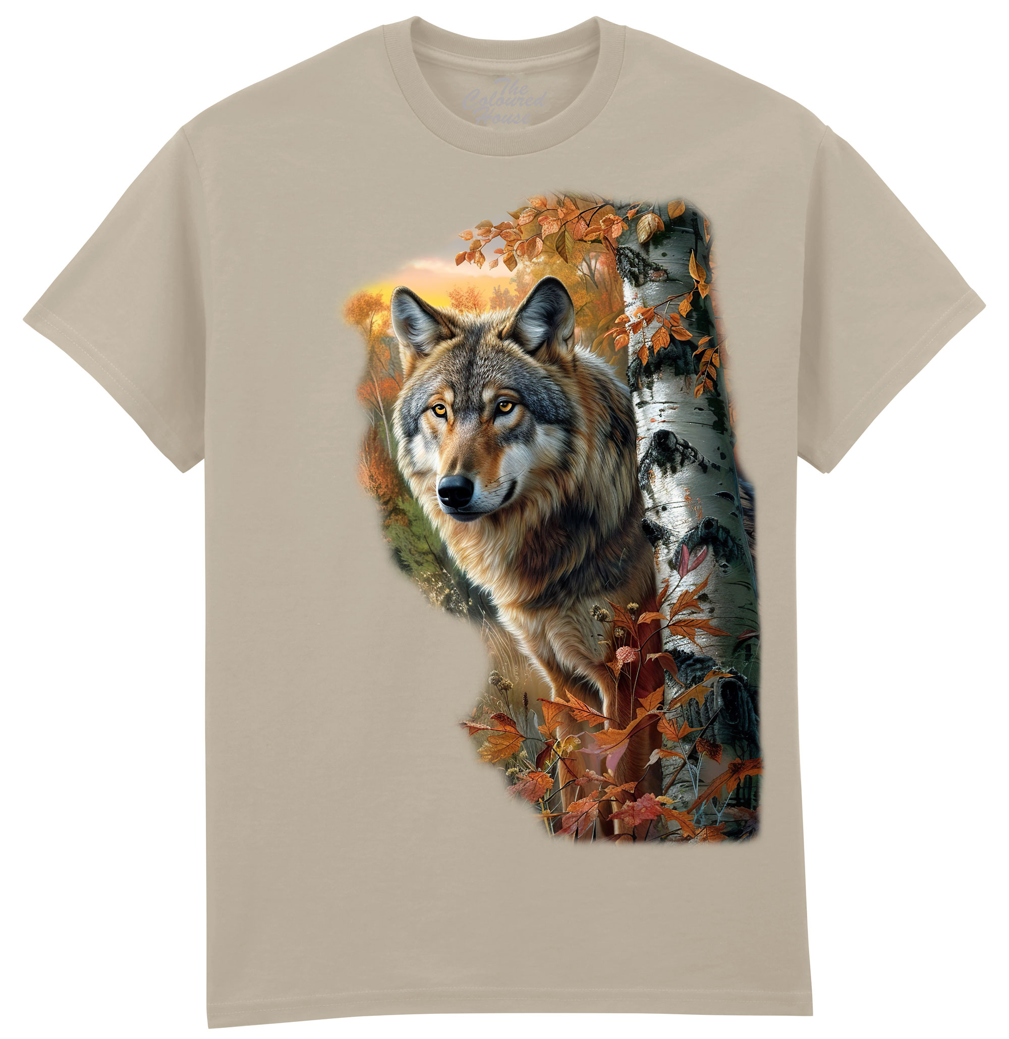 Forest Wolf Portrait