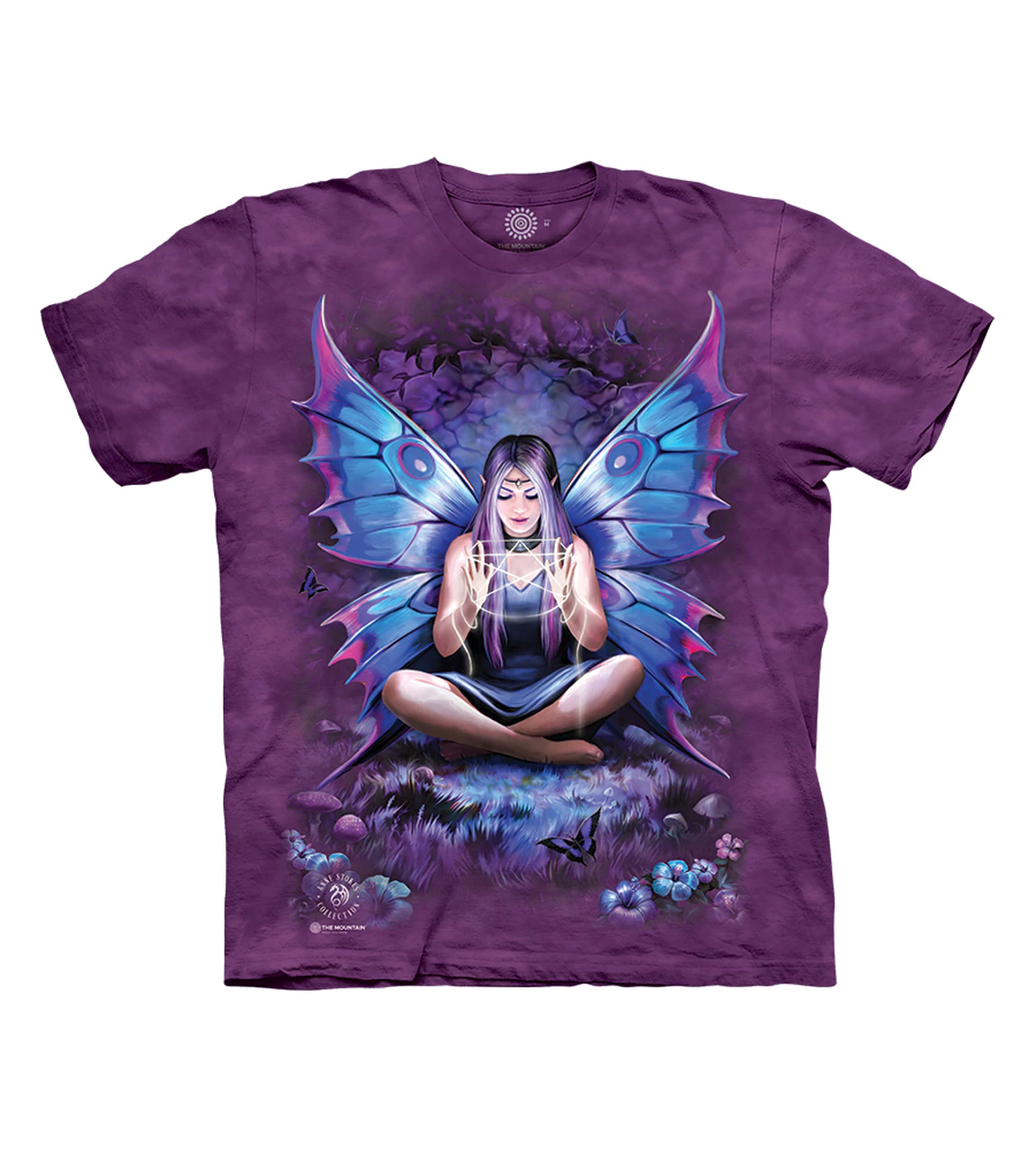 Anne Stokes Spell Weaver Fairy