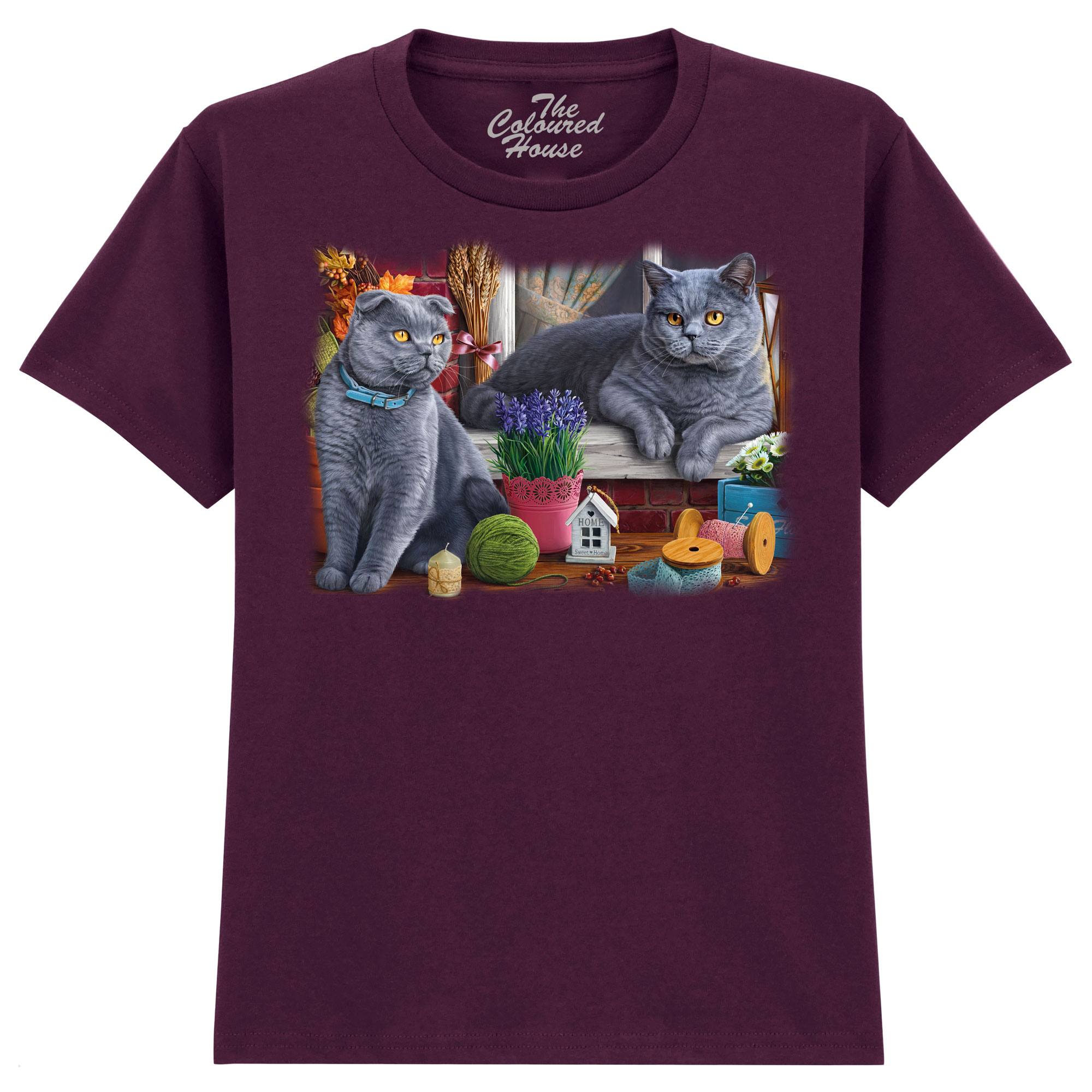 Brititsh Cats KIDS