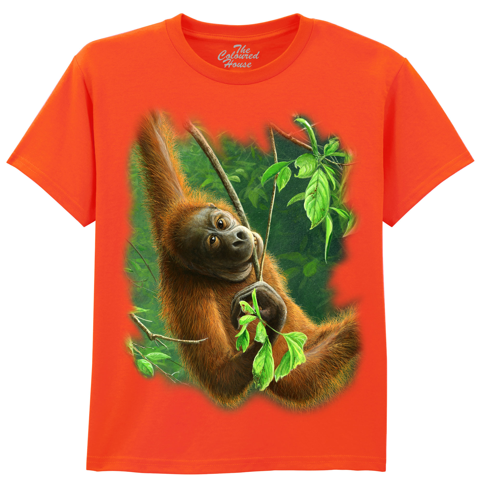 Hanging Orangutan KIDS