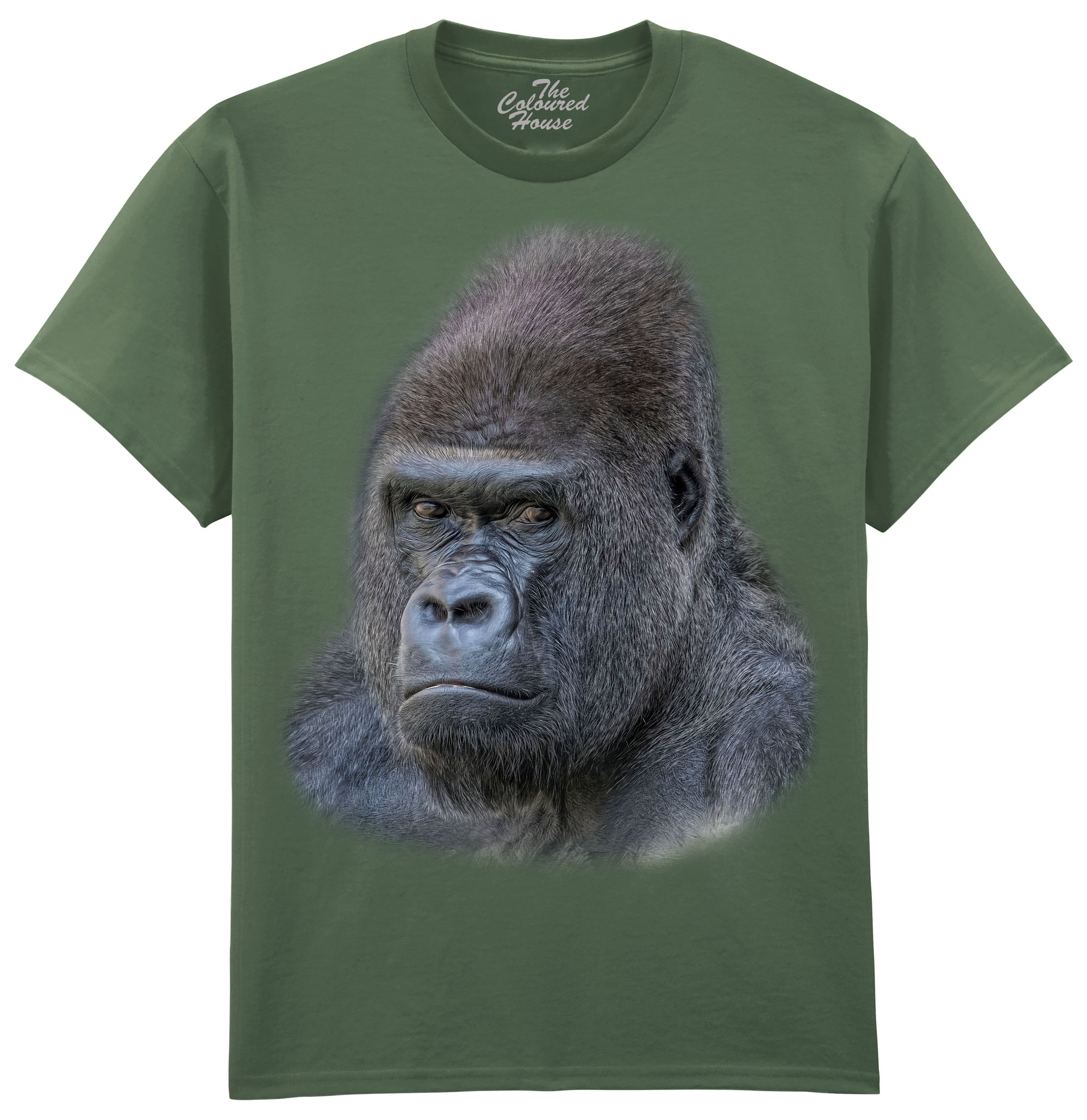 The Boss - Gorilla The Boss - Gorilla
