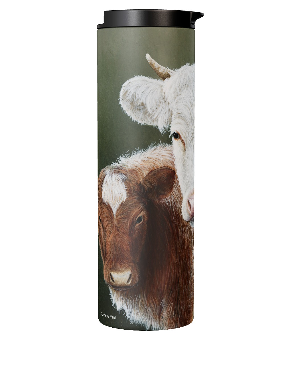 Northern Dairy Shorthorn Tumbler
