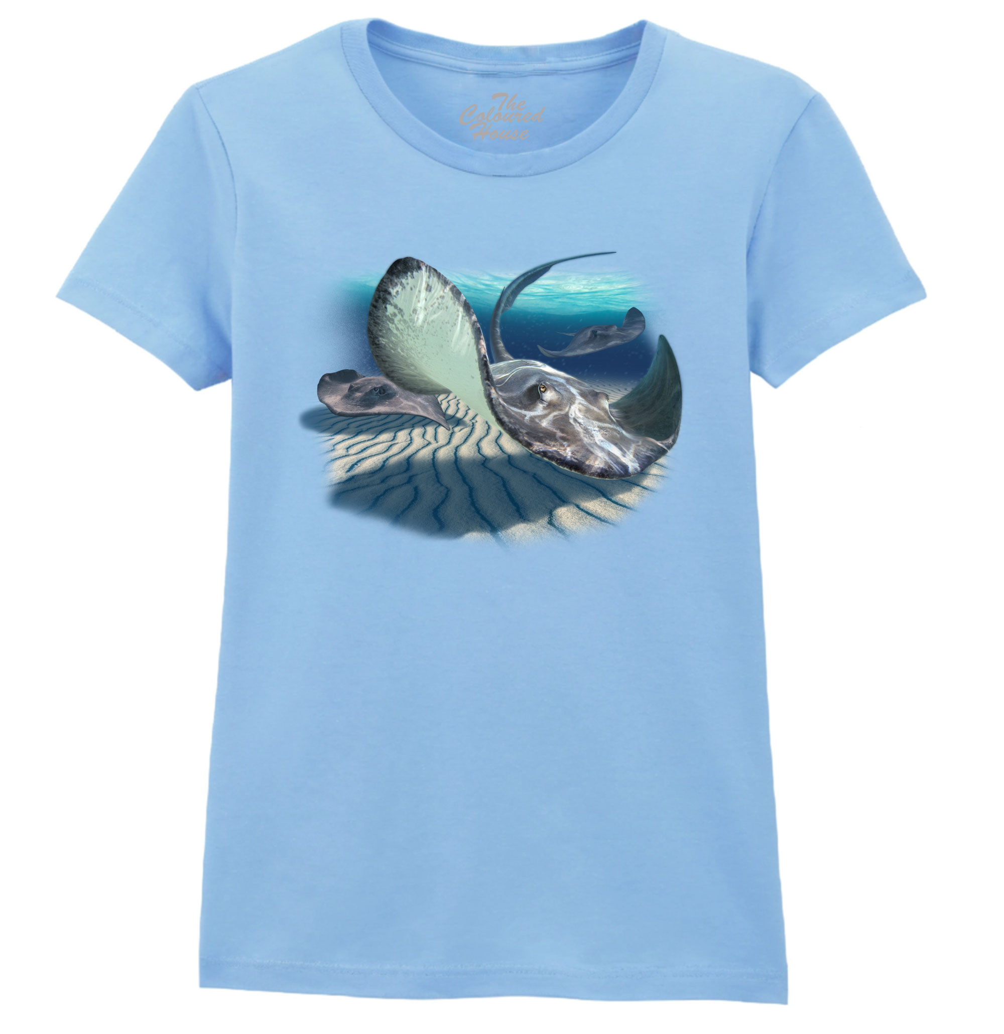 Stingrays Ladies T-shirt
